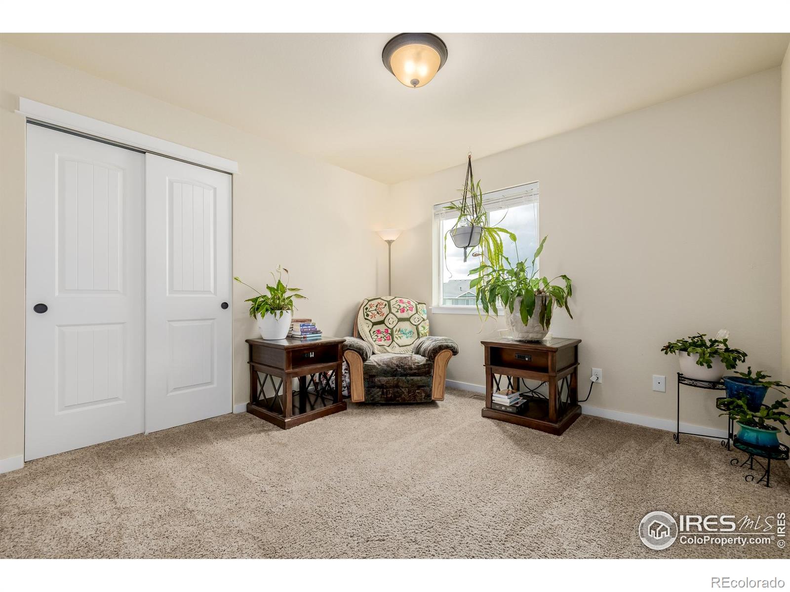 MLS Image #17 for 484  wind river drive,windsor, Colorado