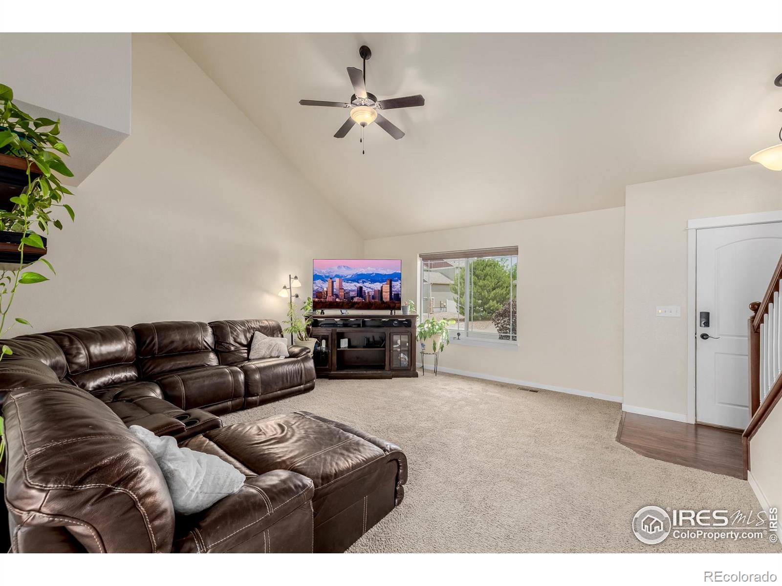 MLS Image #4 for 484  wind river drive,windsor, Colorado