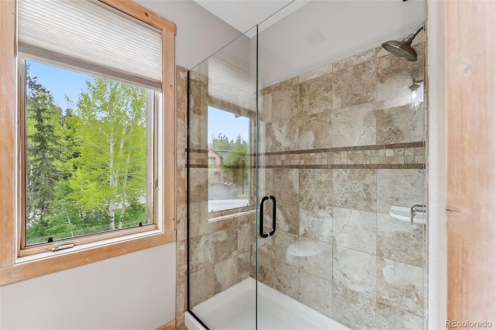 MLS Image #28 for 402  kestrel lane,silverthorne, Colorado