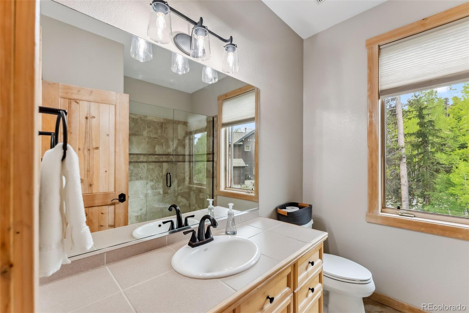 MLS Image #29 for 402  kestrel lane,silverthorne, Colorado