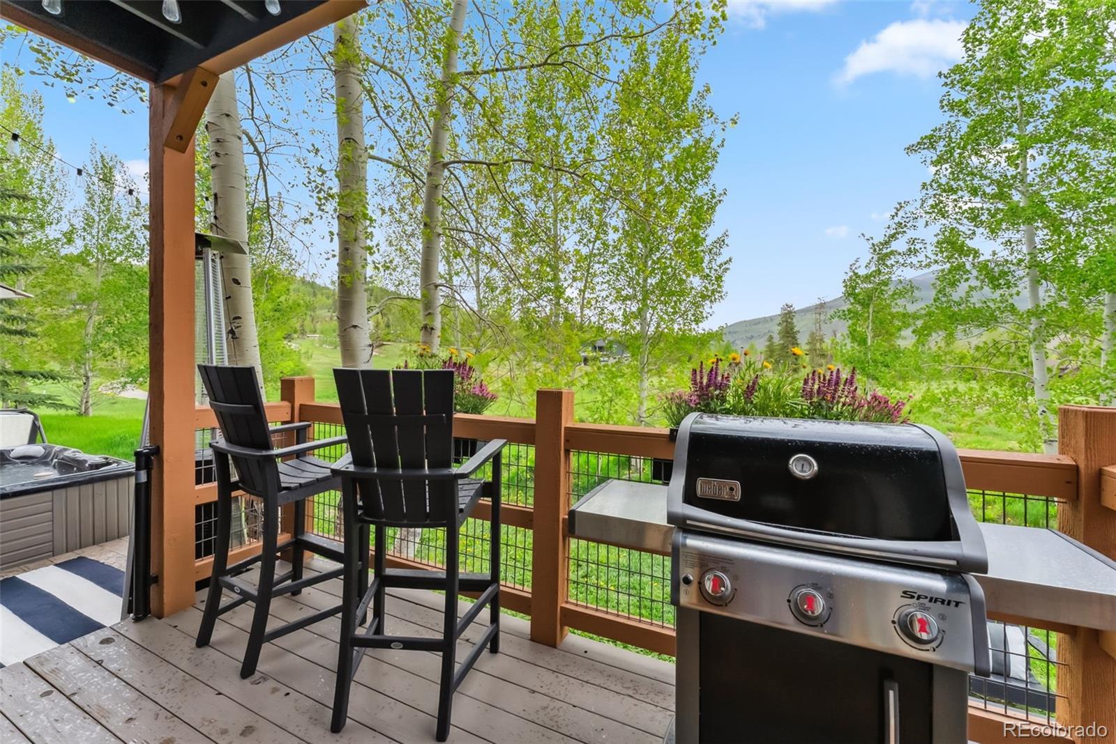 MLS Image #35 for 402  kestrel lane,silverthorne, Colorado