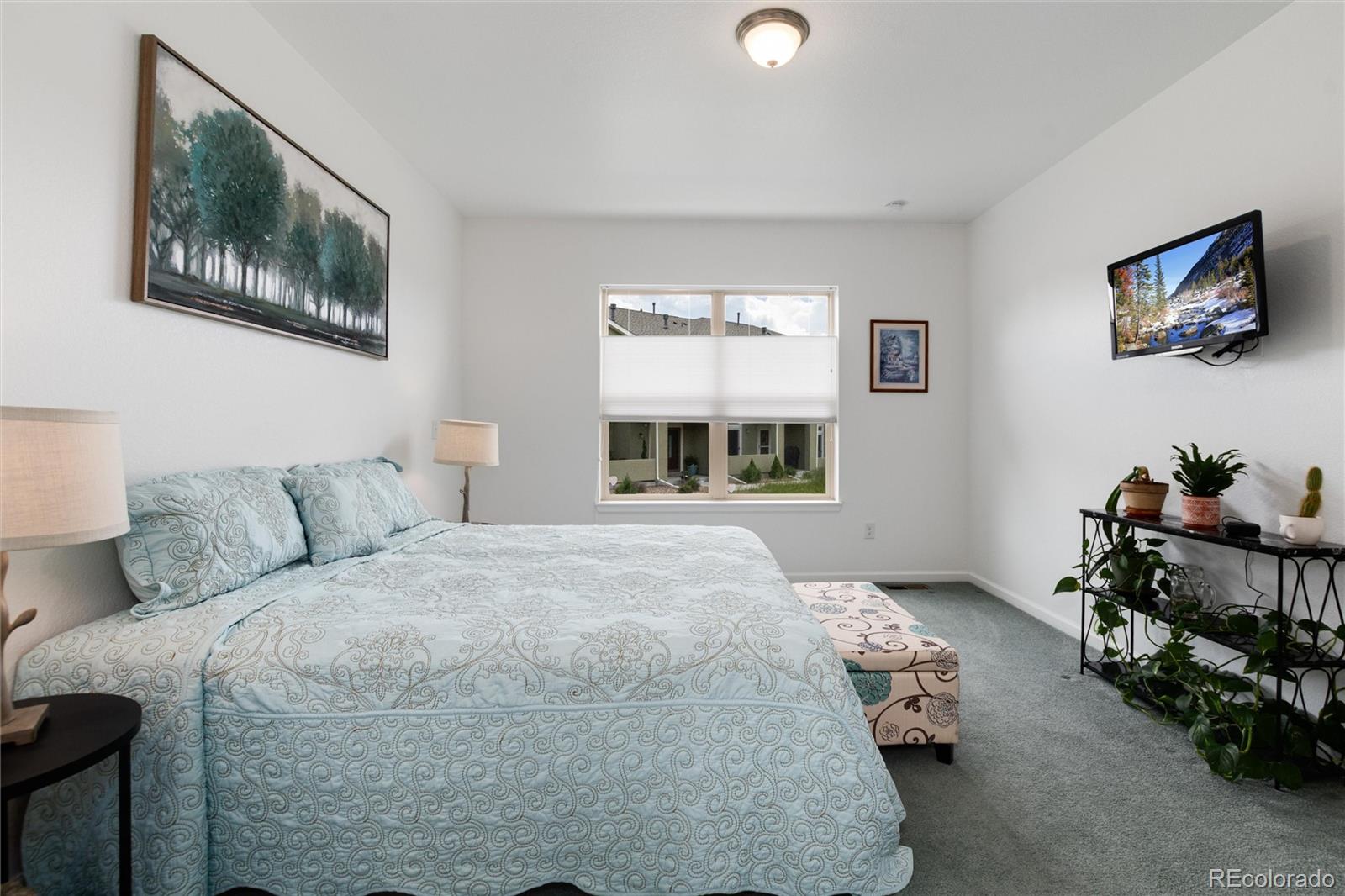 MLS Image #15 for 11823  barrentine loop,parker, Colorado