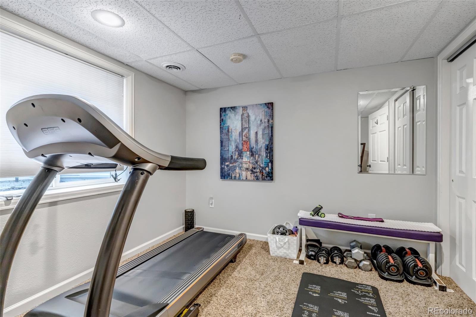 MLS Image #31 for 4578  quandary peak street,brighton, Colorado