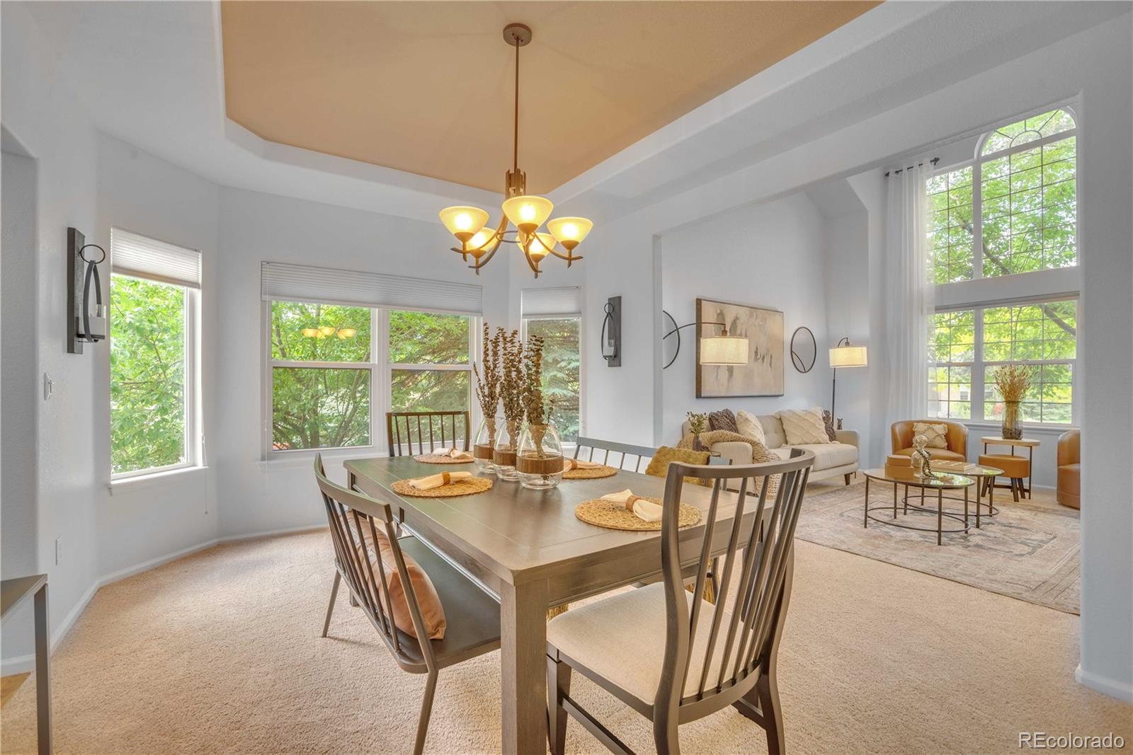 MLS Image #11 for 10356  lions heart ,lone tree, Colorado
