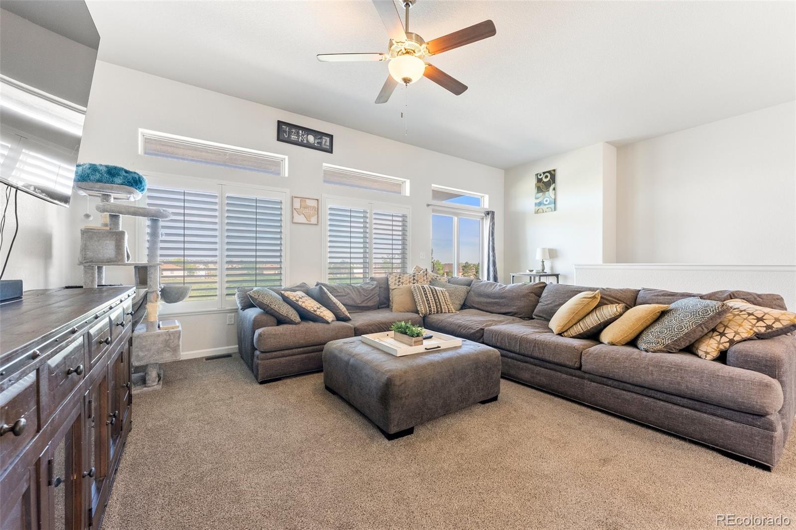 MLS Image #11 for 1068 s los charros drive,pueblo, Colorado