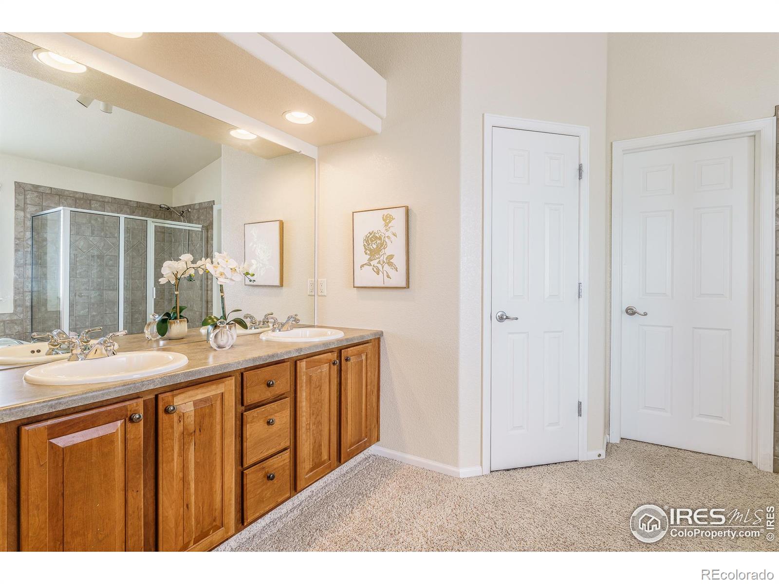 MLS Image #21 for 370  saxony road,johnstown, Colorado