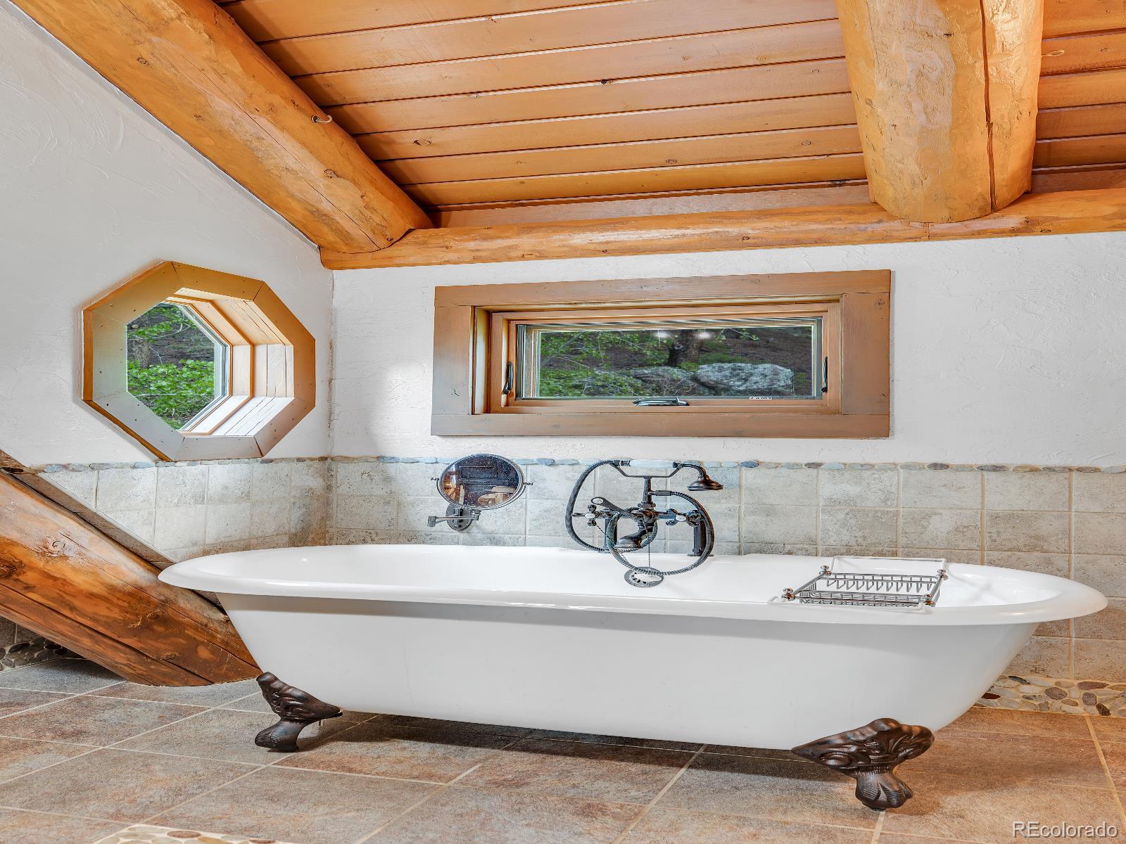 MLS Image #21 for 1000  lodgepole drive,evergreen, Colorado