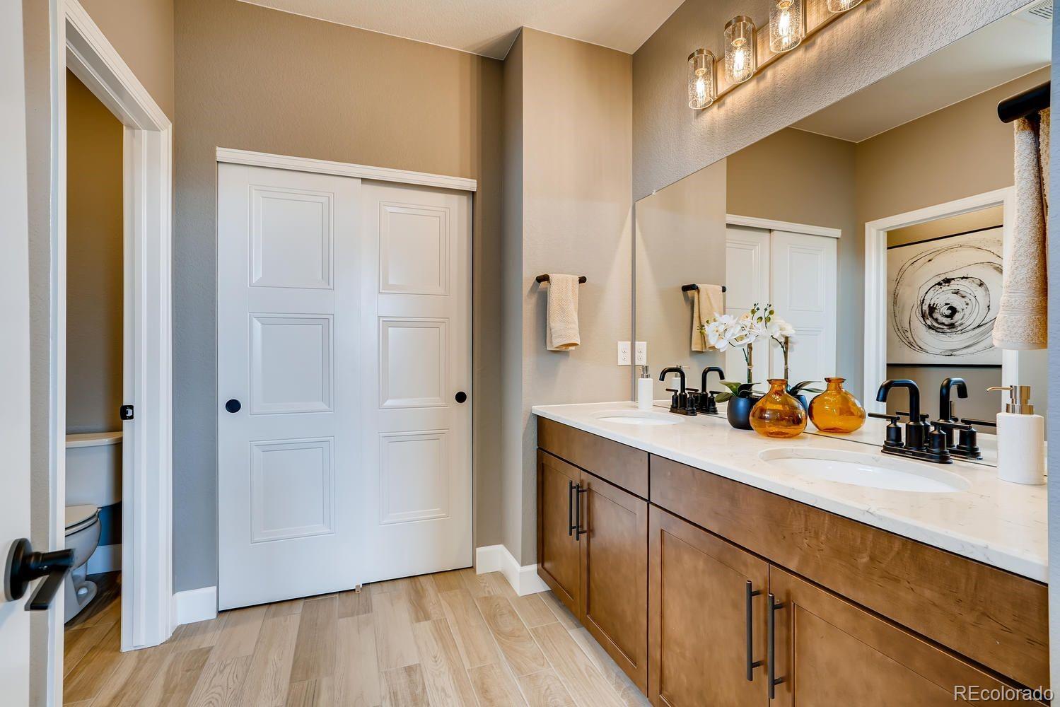 MLS Image #10 for 13794  honey hush trail,parker, Colorado