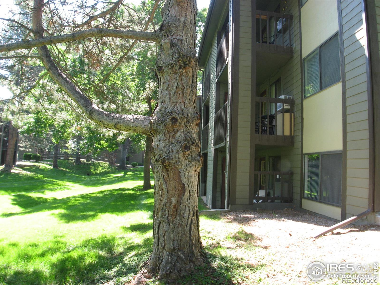 MLS Image #16 for 925  columbia road,fort collins, Colorado