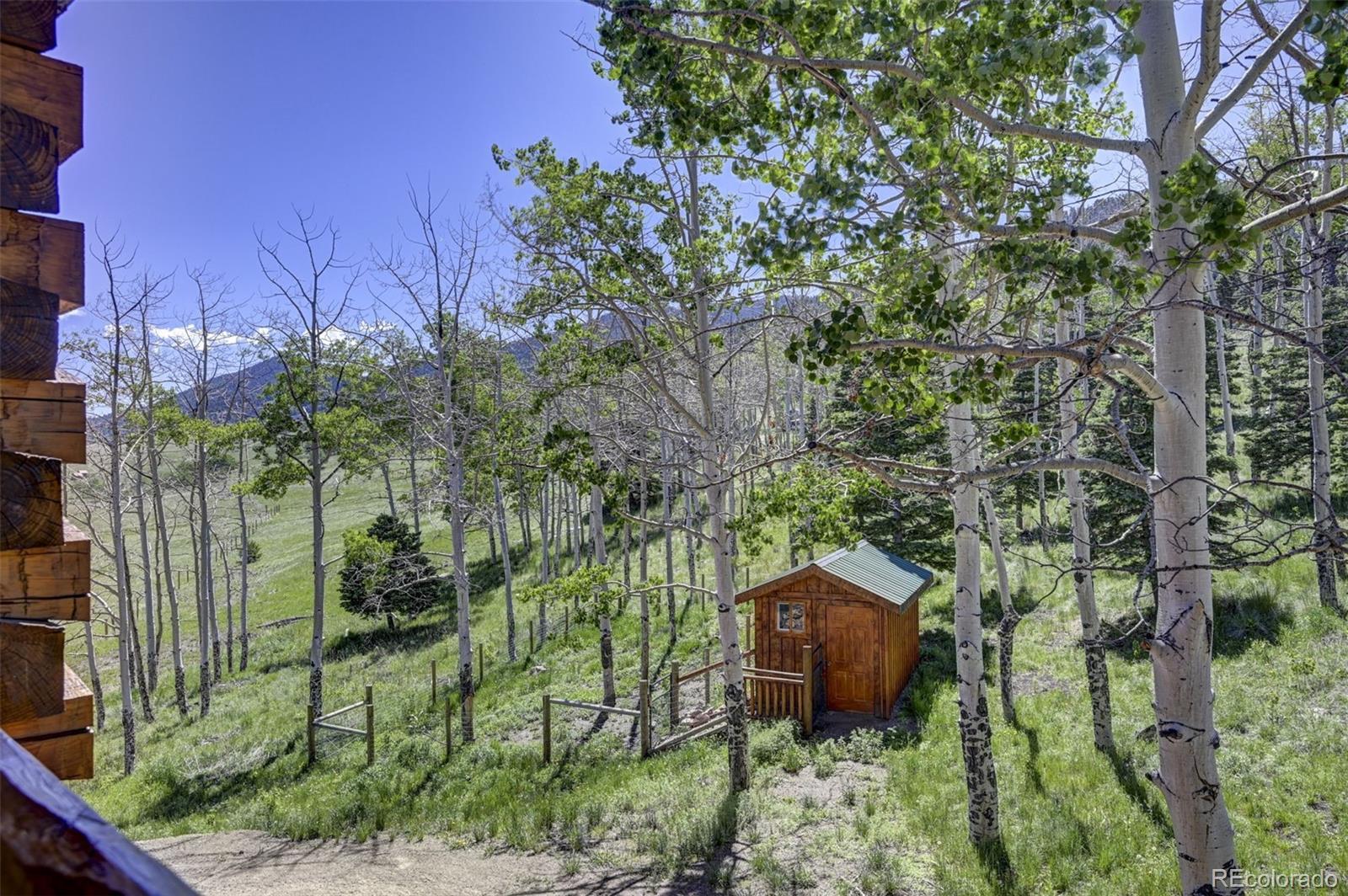 MLS Image #24 for 540  county road 356 ,westcliffe, Colorado