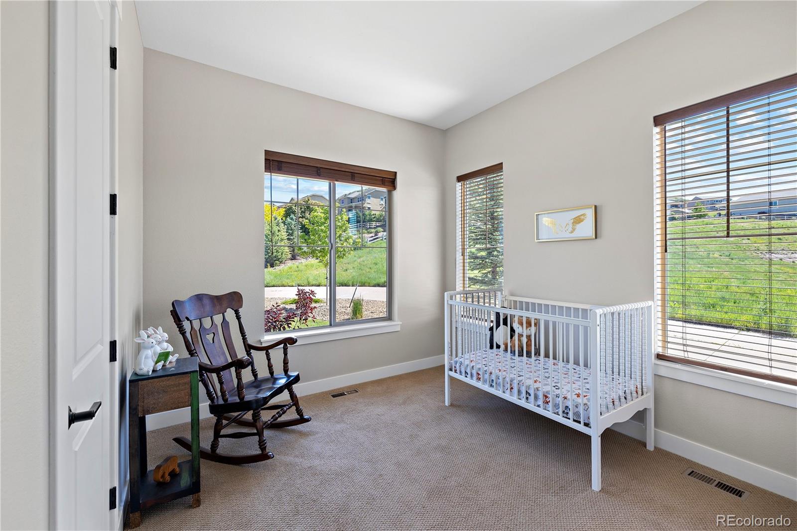 MLS Image #21 for 372  castlemaine court,castle rock, Colorado