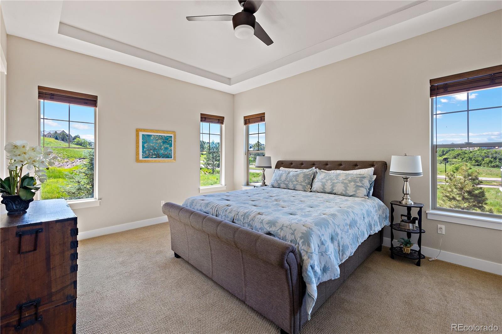 MLS Image #22 for 372  castlemaine court,castle rock, Colorado