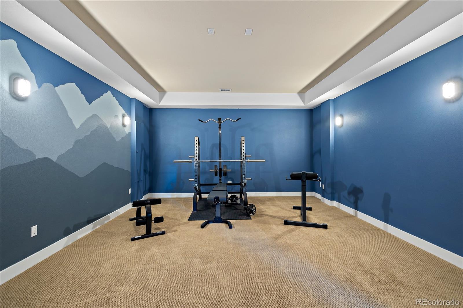MLS Image #32 for 372  castlemaine court,castle rock, Colorado