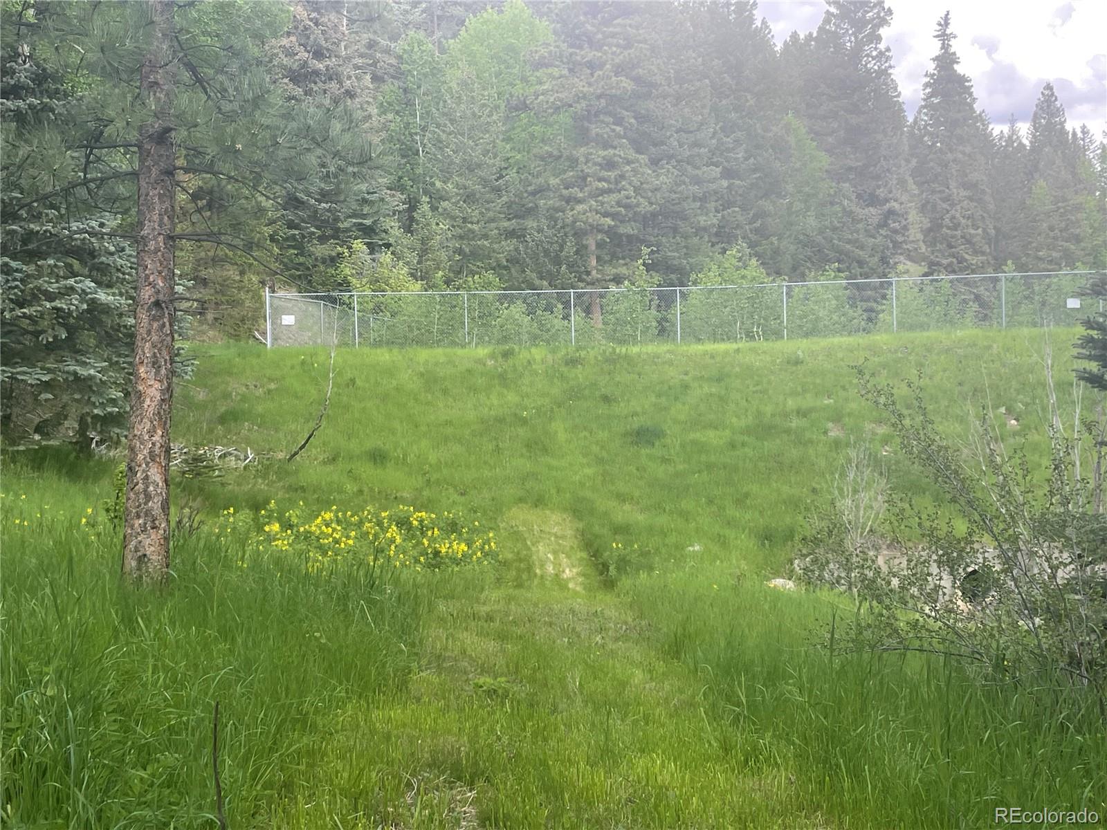 MLS Image #42 for 1345  witter gulch road,evergreen, Colorado