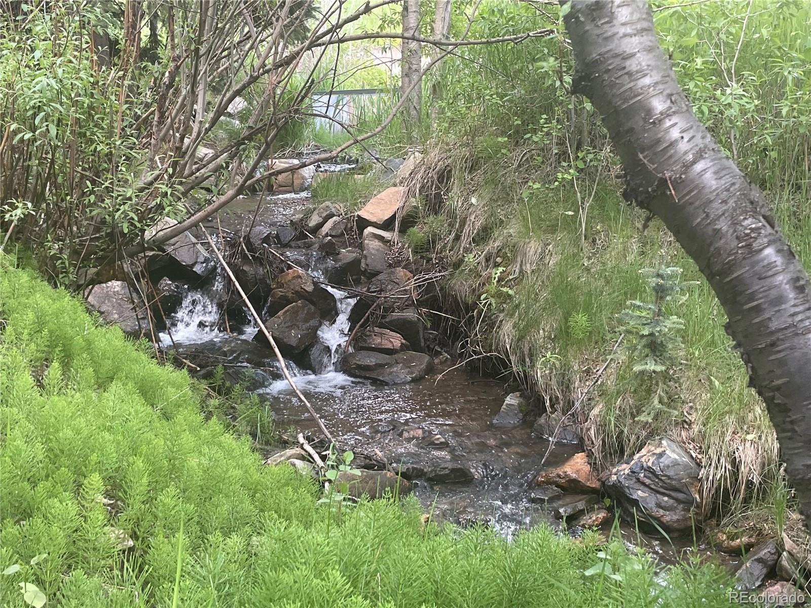 MLS Image #43 for 1345  witter gulch road,evergreen, Colorado