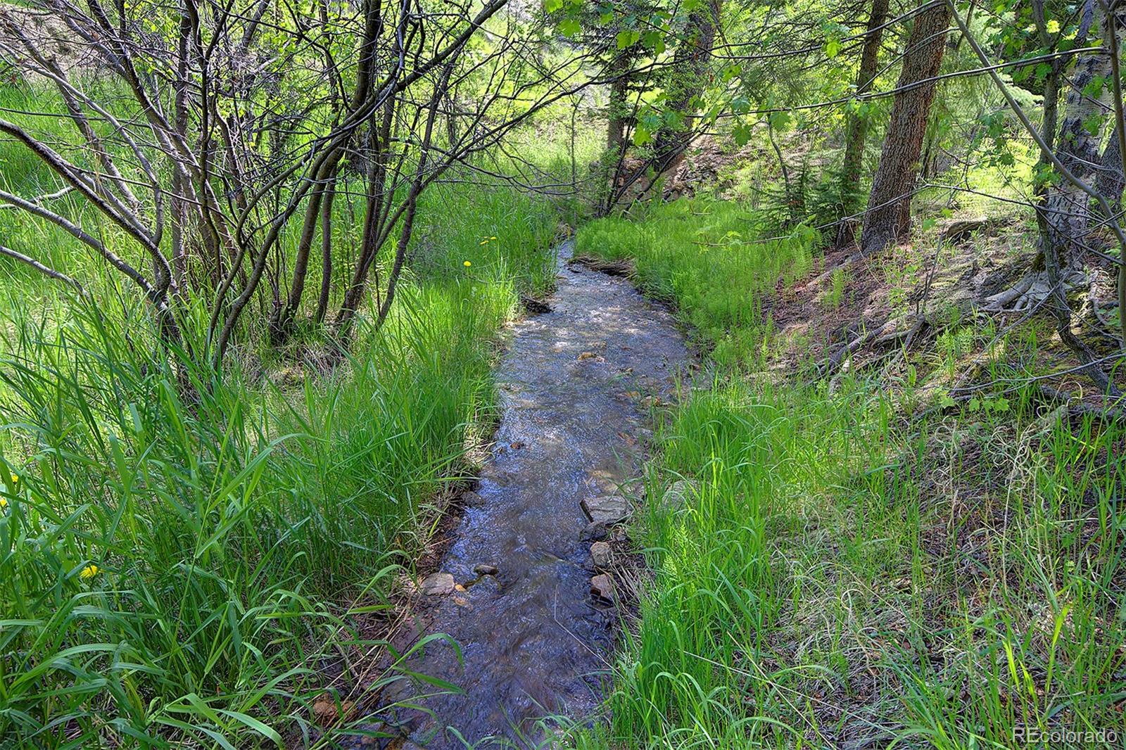 MLS Image #6 for 1345  witter gulch road,evergreen, Colorado