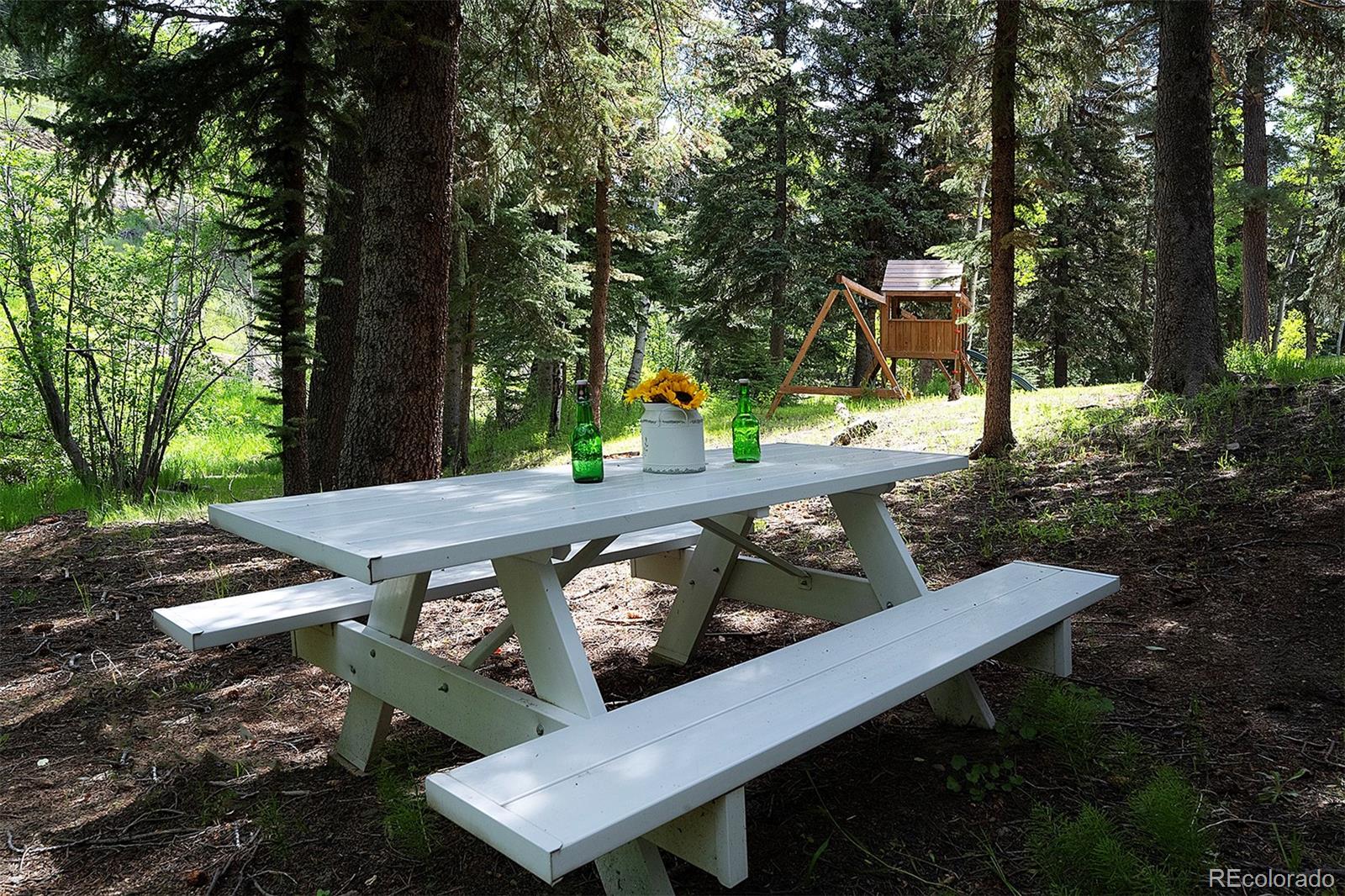 MLS Image #7 for 1345  witter gulch road,evergreen, Colorado