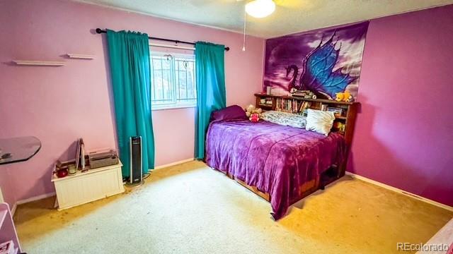 MLS Image #10 for 19930 e cornell avenue,aurora, Colorado