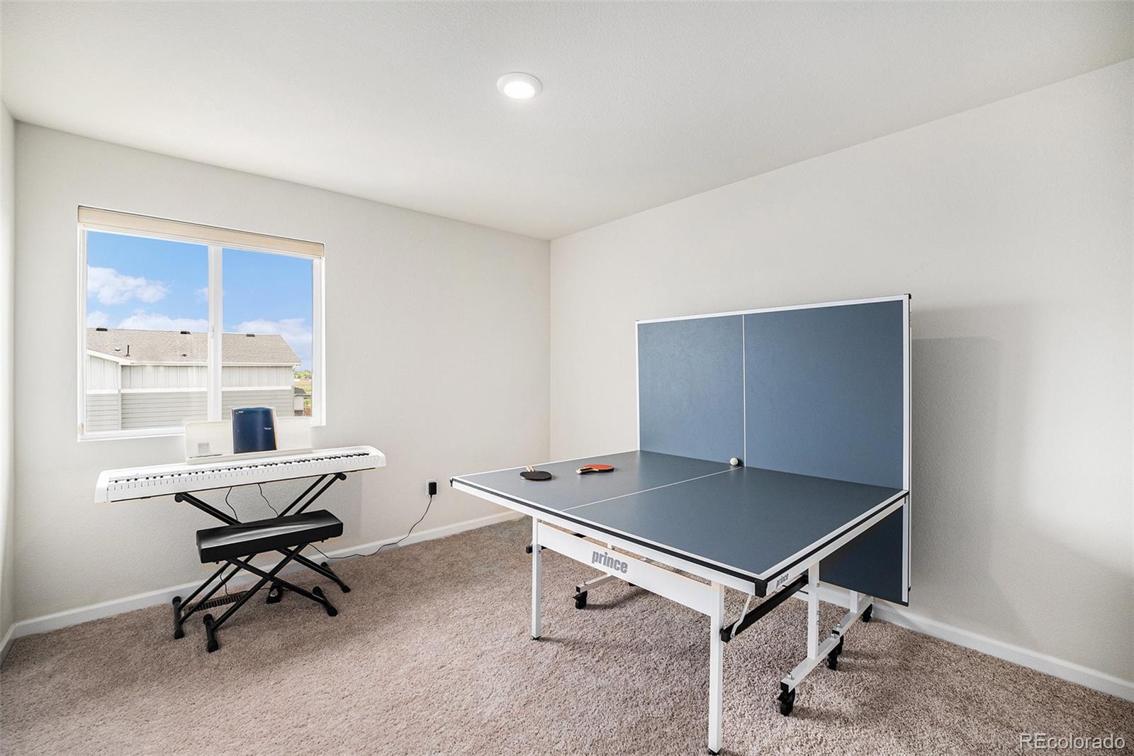 MLS Image #13 for 12405 e 101st drive,commerce city, Colorado