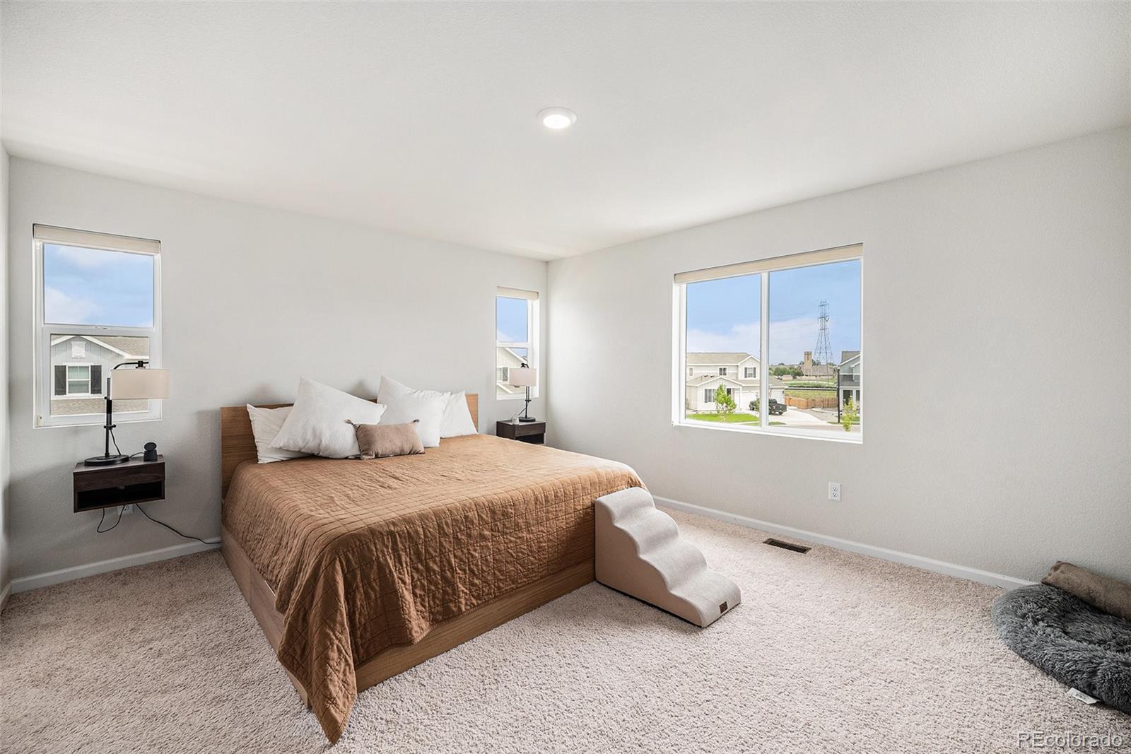 MLS Image #9 for 12405 e 101st drive,commerce city, Colorado