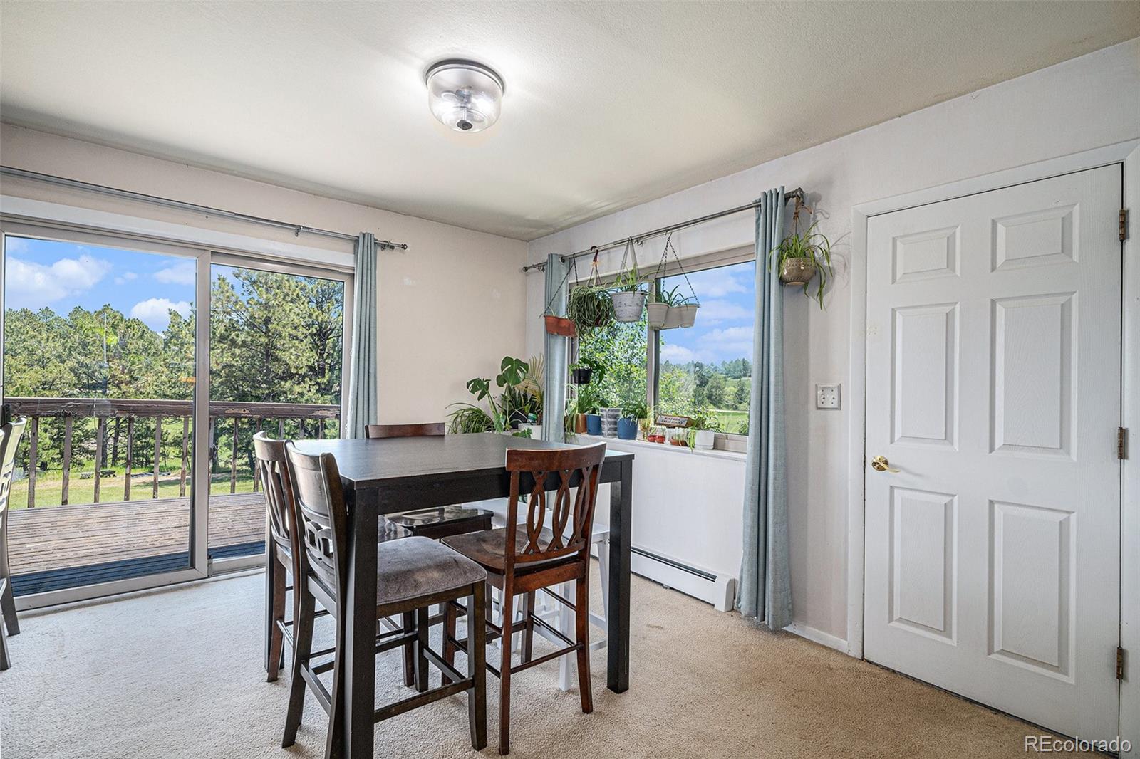 MLS Image #14 for 32358  pine view drive,kiowa, Colorado