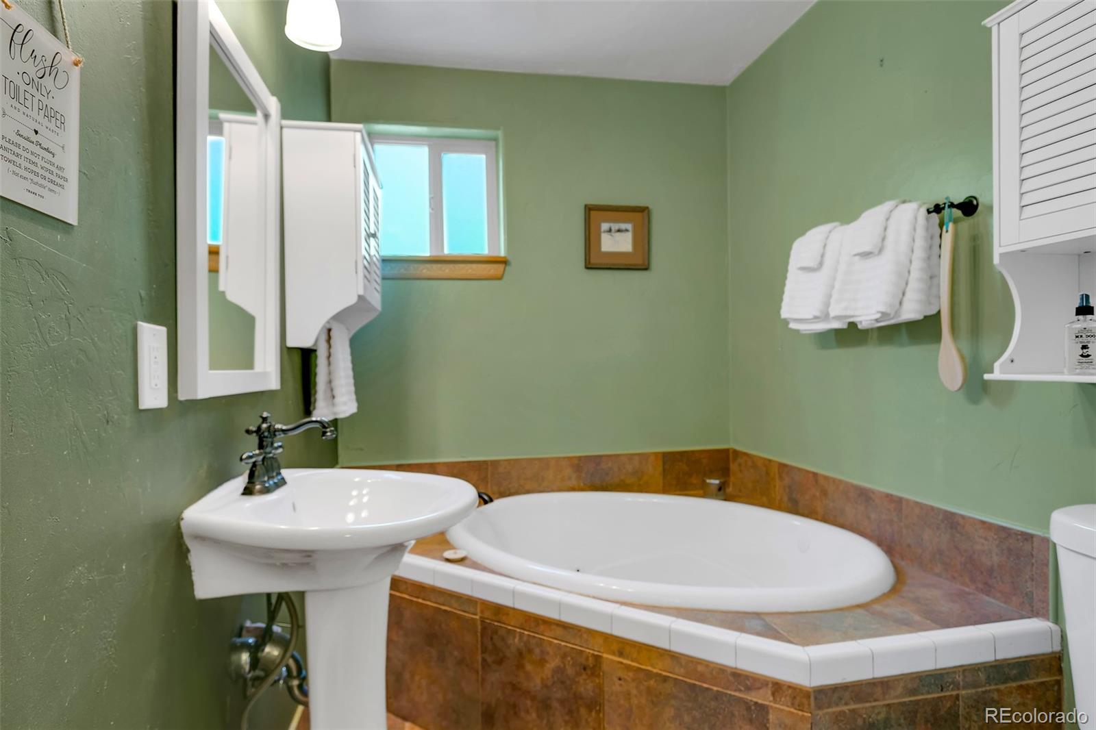 MLS Image #10 for 216  ambush lane,jefferson, Colorado