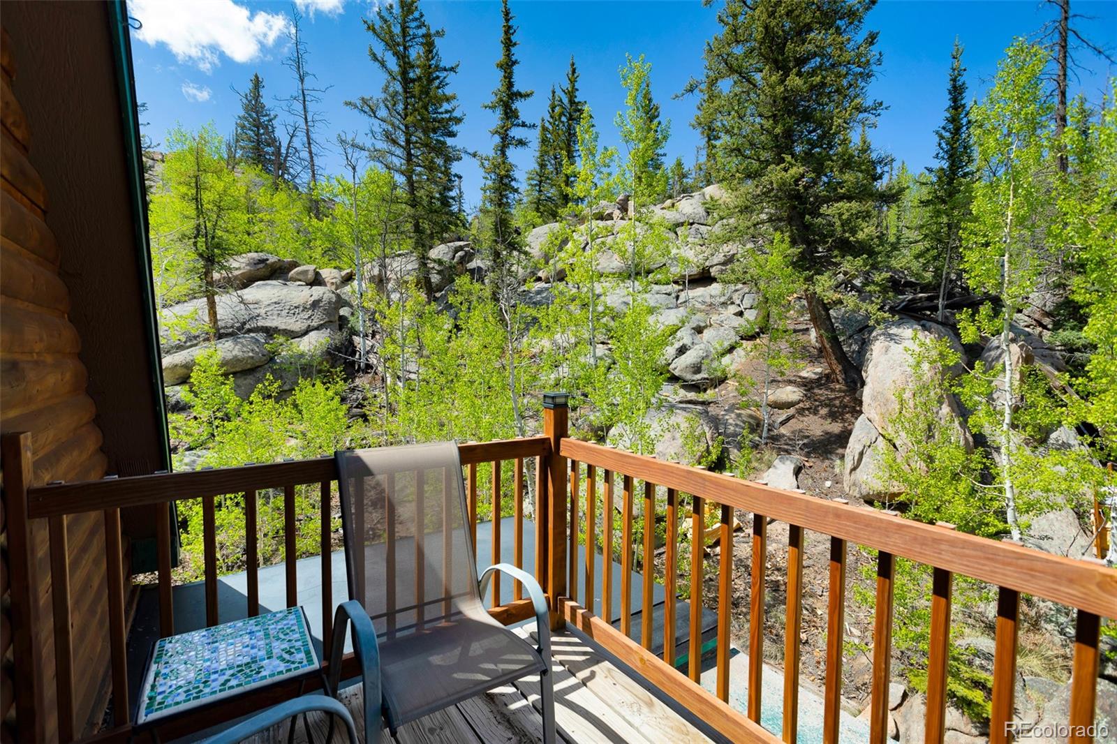 MLS Image #22 for 216  ambush lane,jefferson, Colorado