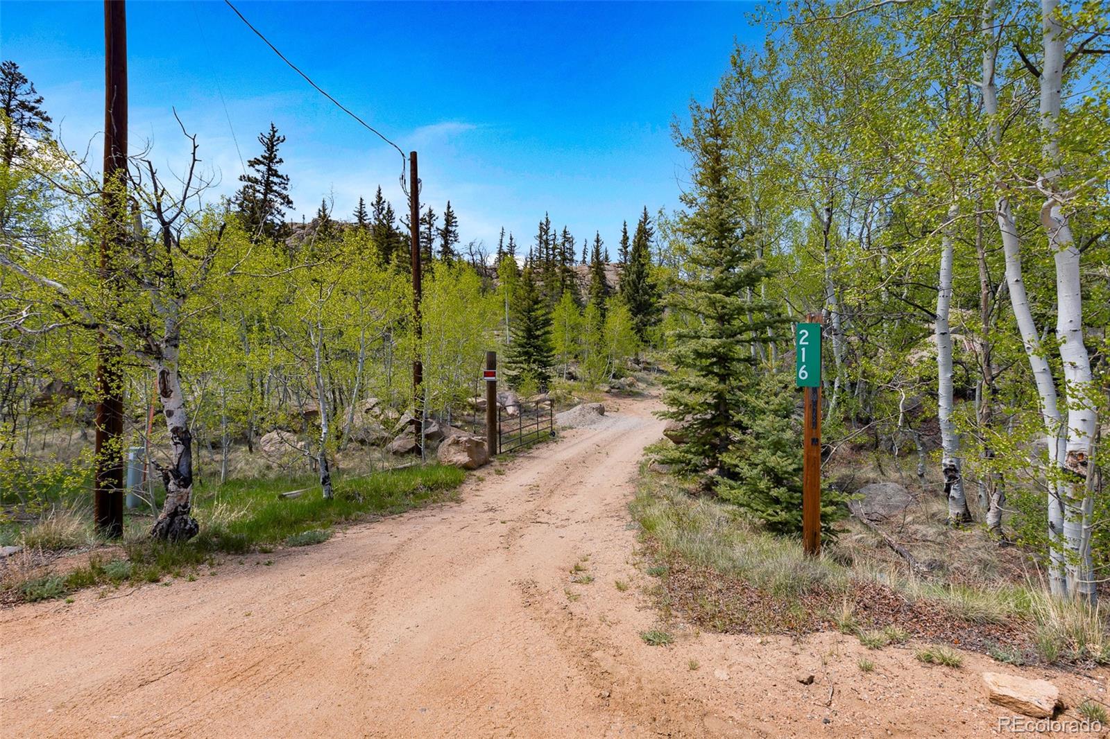 MLS Image #28 for 216  ambush lane,jefferson, Colorado