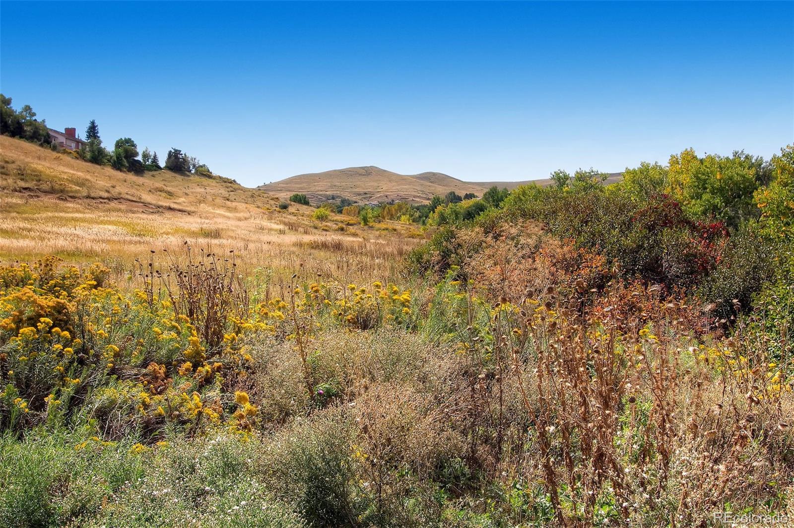 MLS Image #17 for 16259 w 10th avenue,golden, Colorado