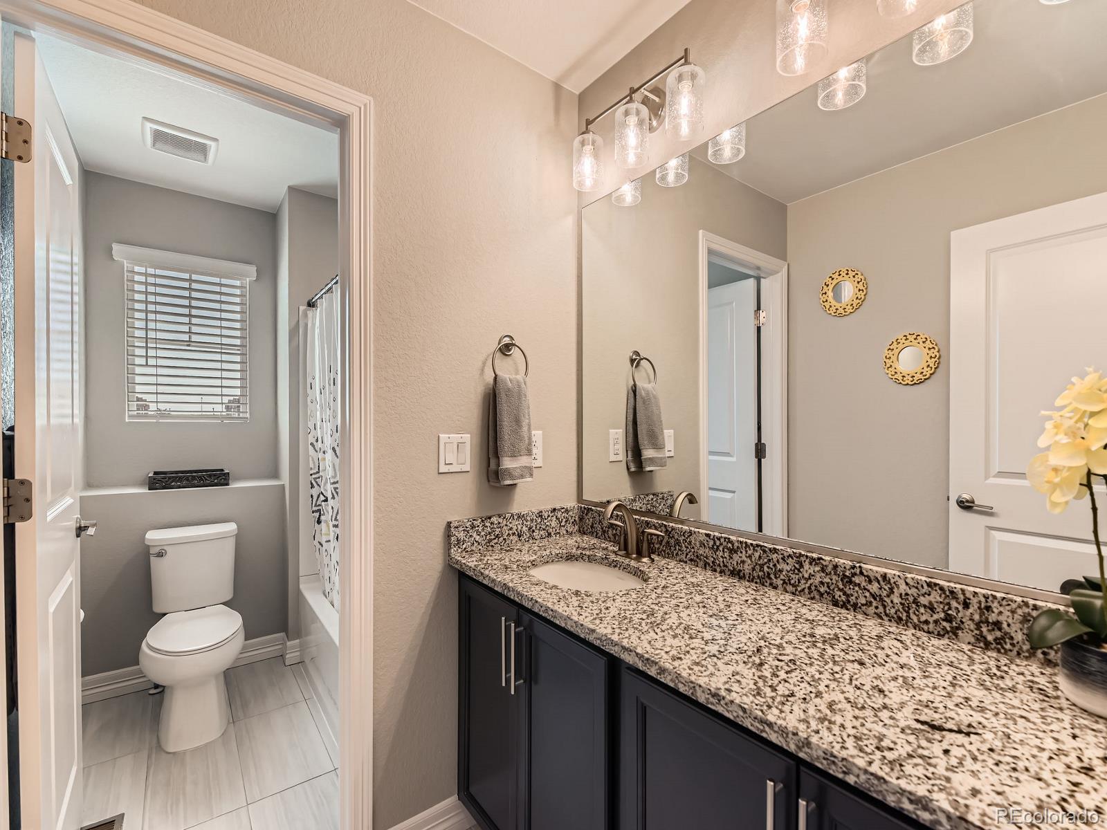MLS Image #17 for 11902  norfolk court,commerce city, Colorado