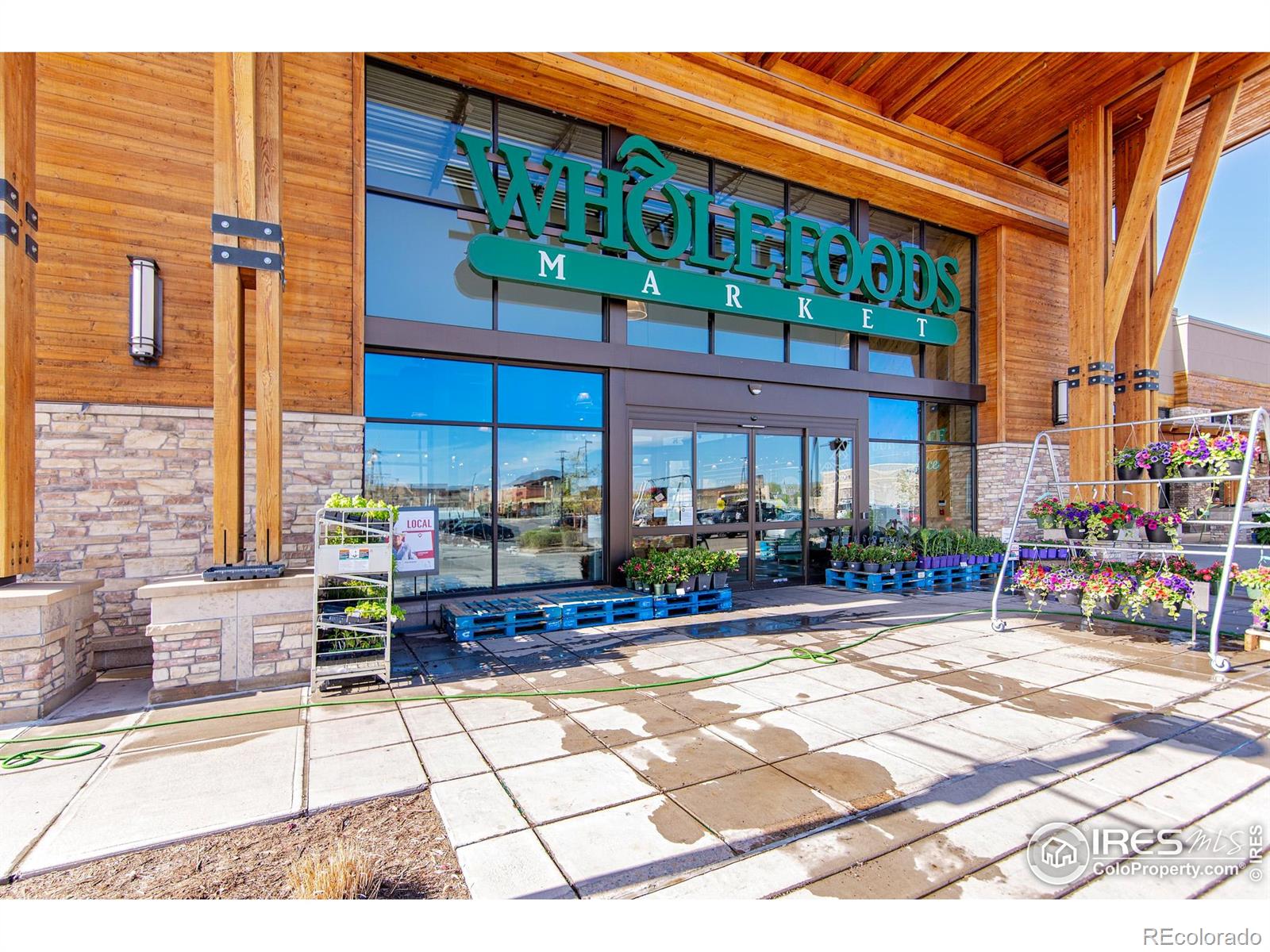 MLS Image #13 for 751  grandview mdws drive,longmont, Colorado