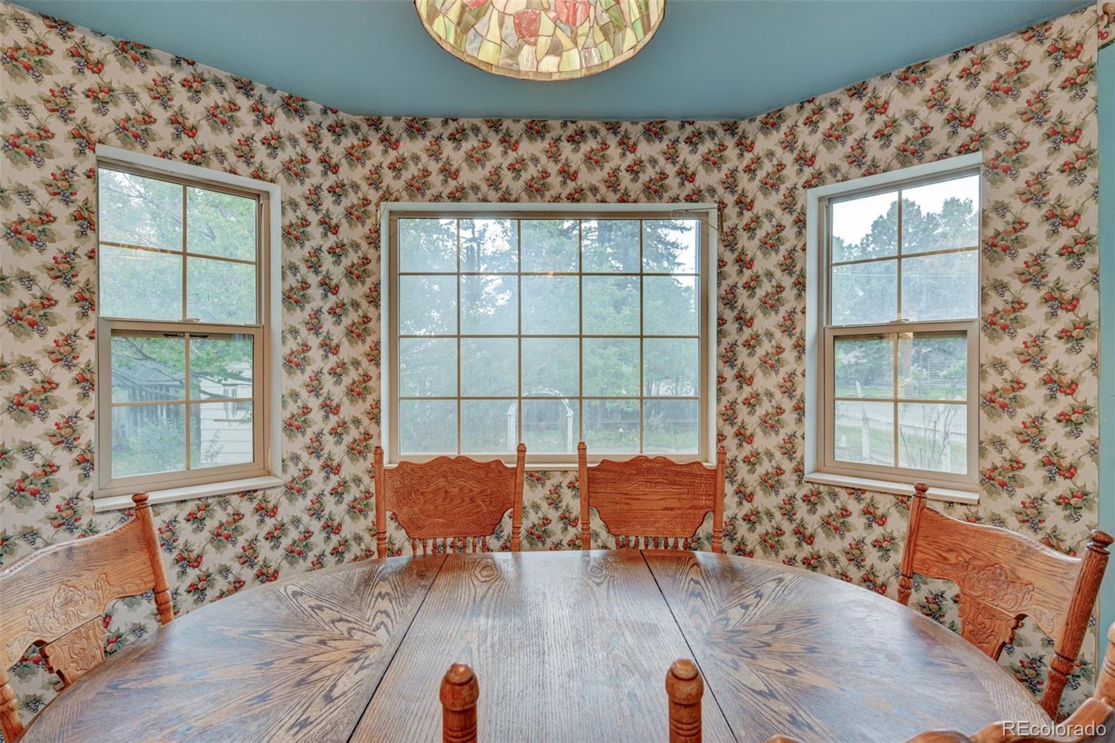 MLS Image #18 for 319 w arkansas street,buena vista, Colorado