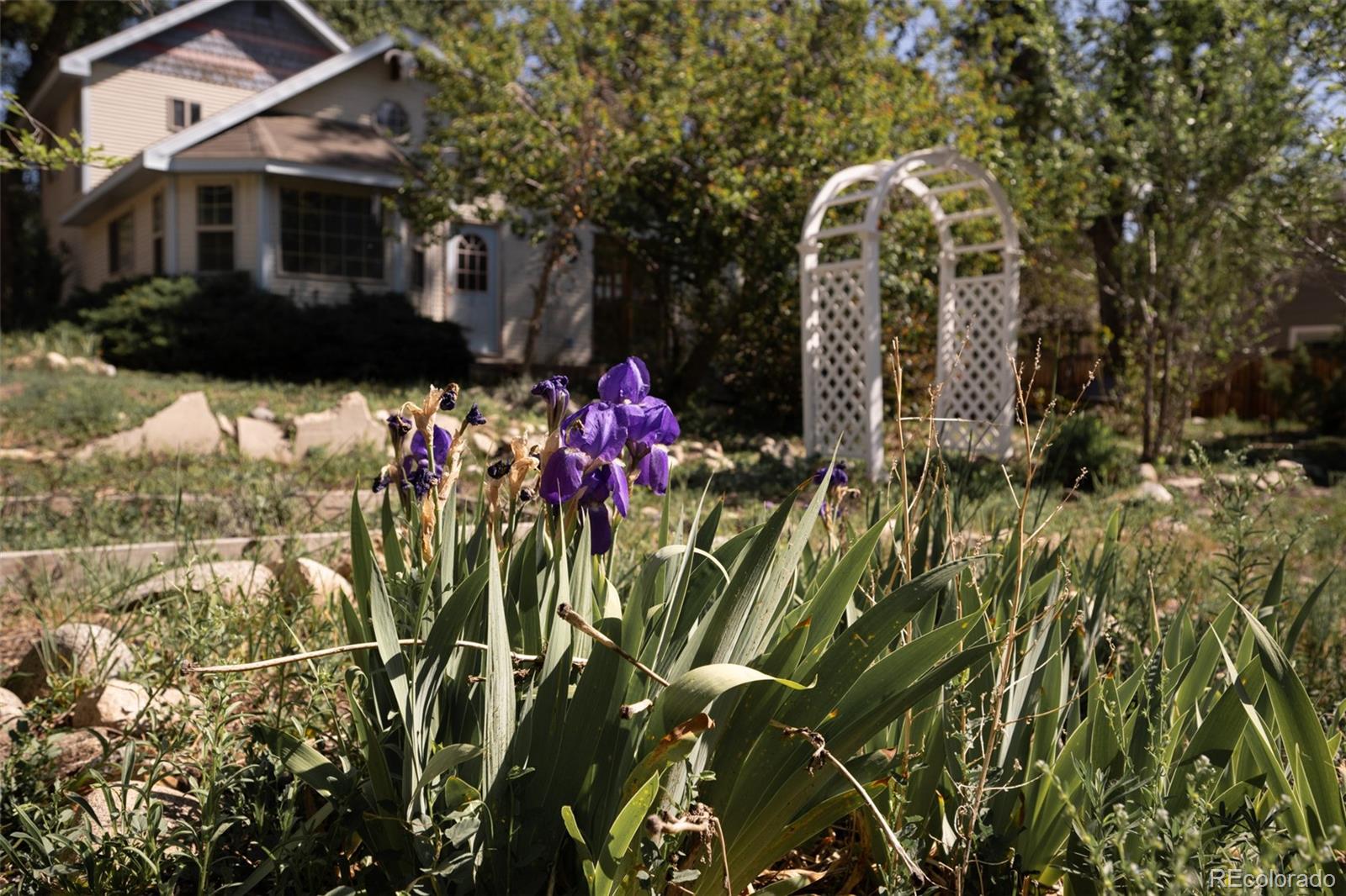 MLS Image #27 for 319 w arkansas street,buena vista, Colorado