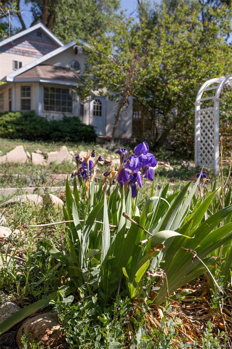 MLS Image #28 for 319 w arkansas street,buena vista, Colorado