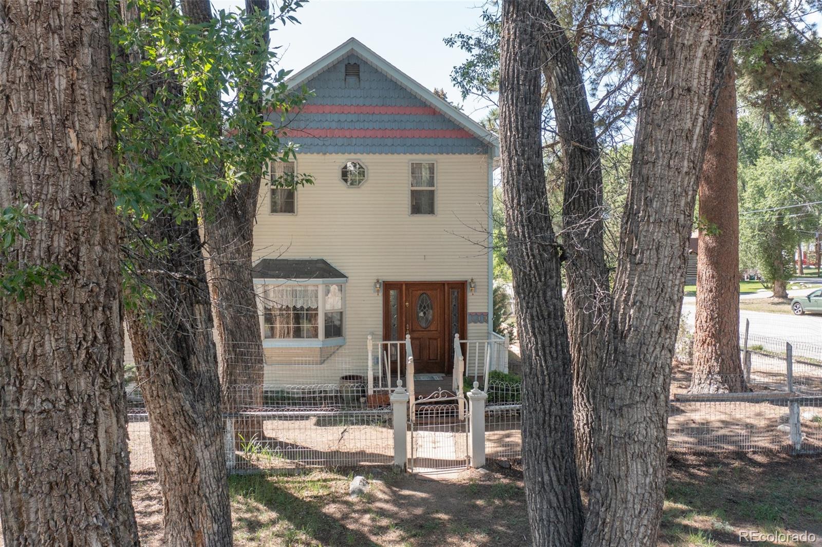 MLS Image #5 for 319 w arkansas street,buena vista, Colorado