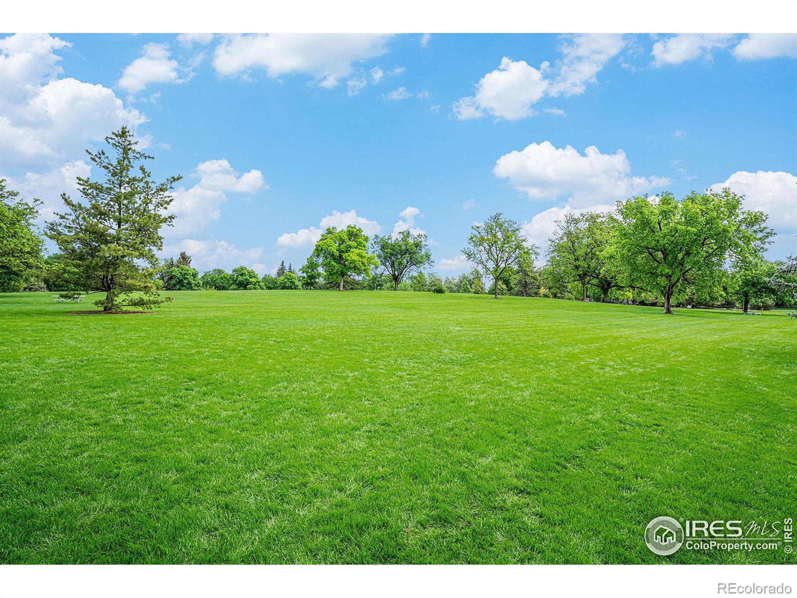 MLS Image #24 for 1615 w mulberry street,fort collins, Colorado