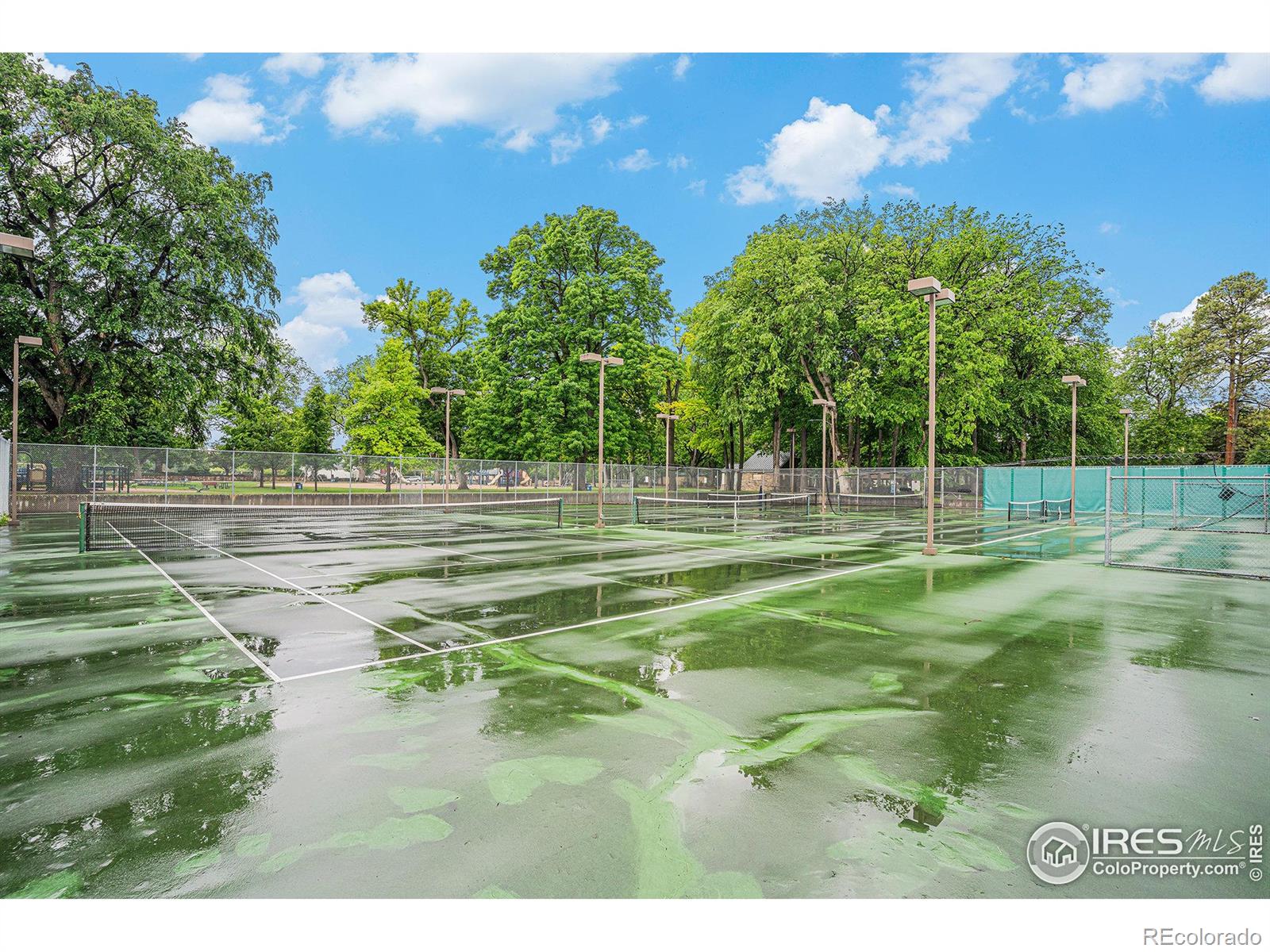 MLS Image #28 for 1615 w mulberry street,fort collins, Colorado
