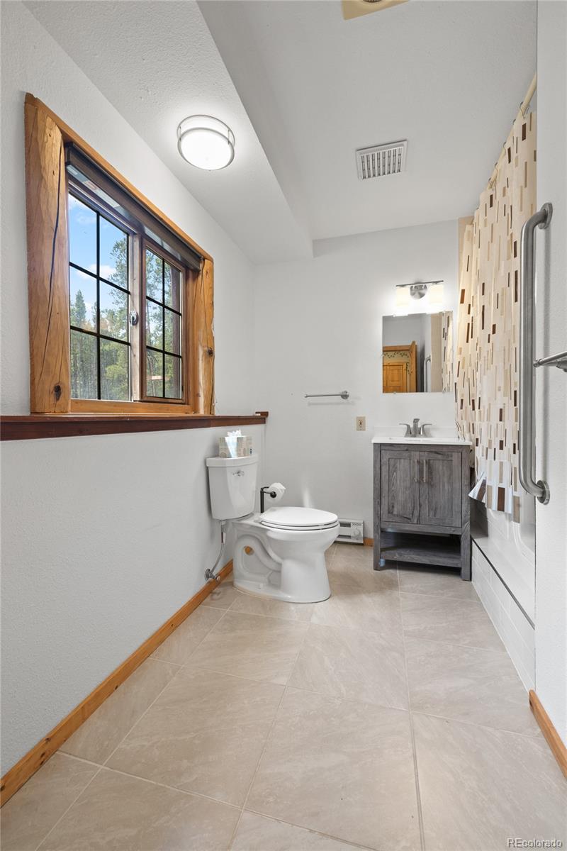 MLS Image #19 for 4250  highway 91 ,leadville, Colorado