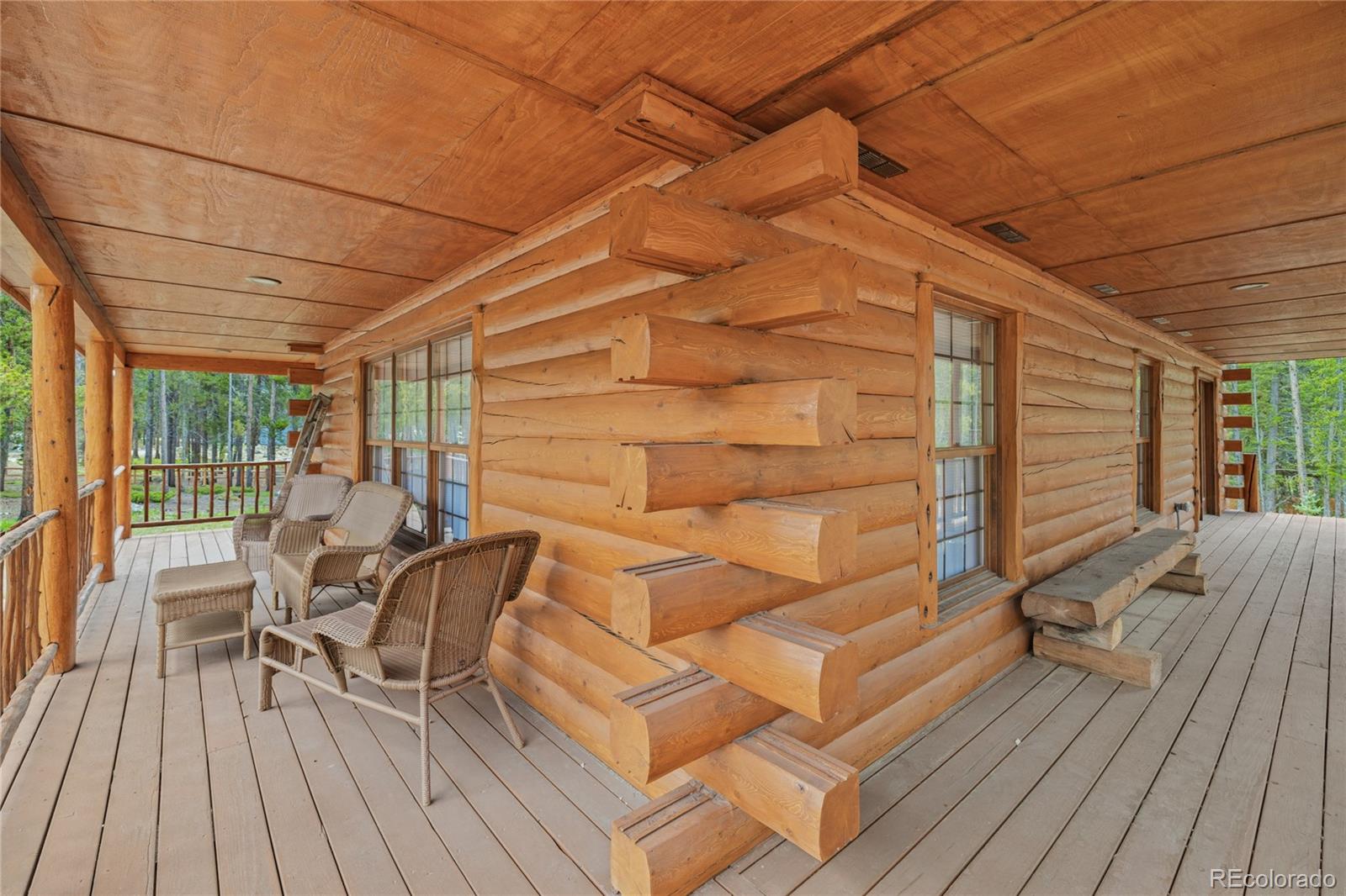 MLS Image #27 for 4250  highway 91 ,leadville, Colorado