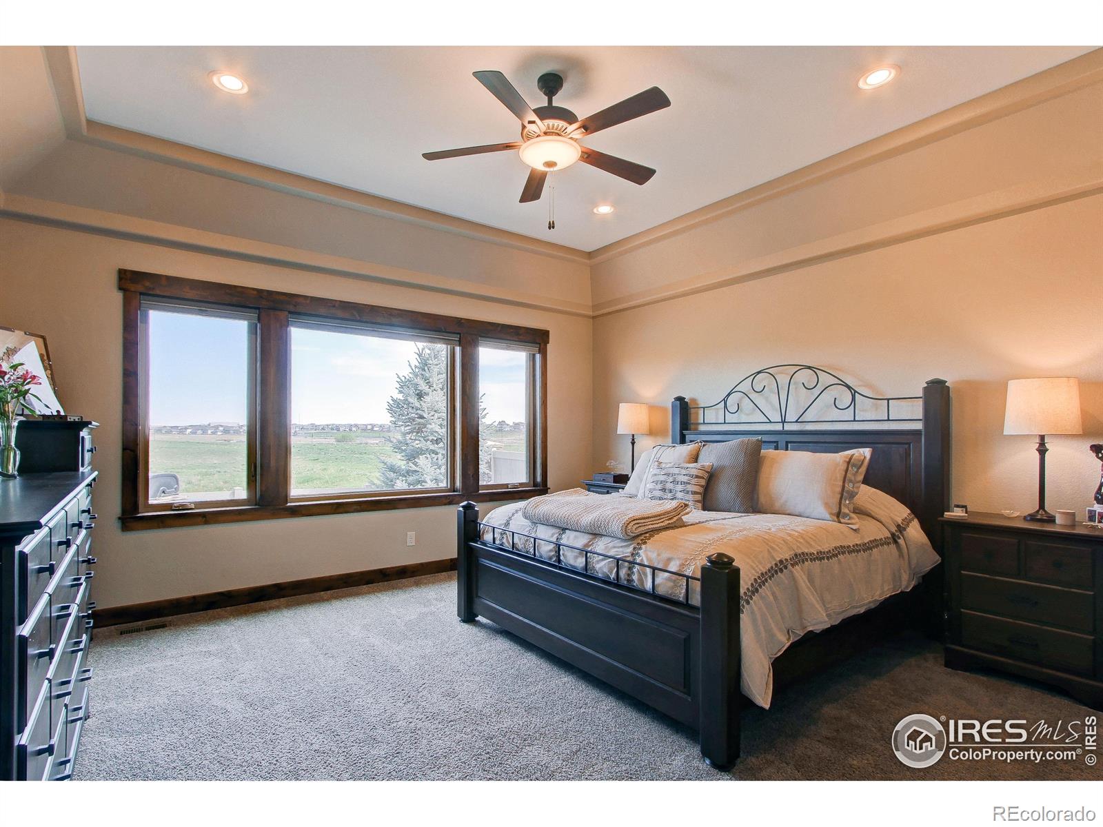 MLS Image #12 for 1015  coral burst drive,loveland, Colorado