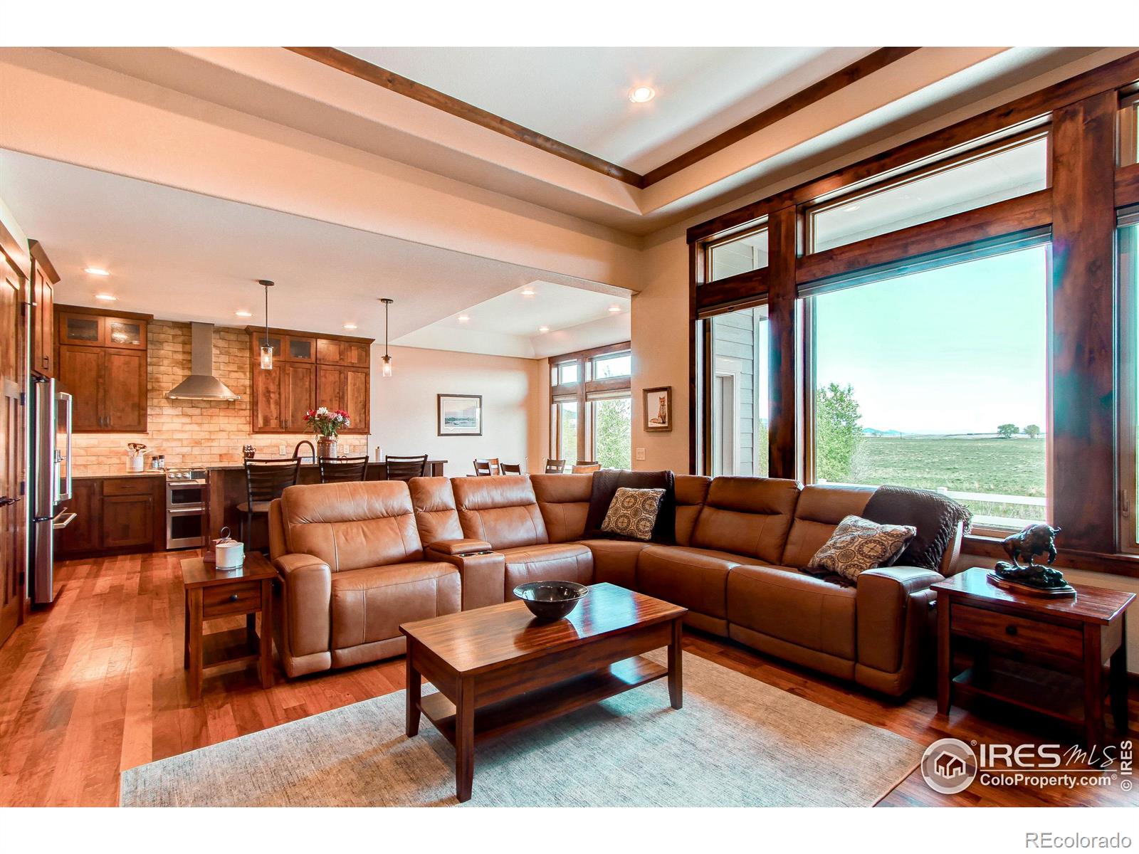 MLS Image #19 for 1015  coral burst drive,loveland, Colorado