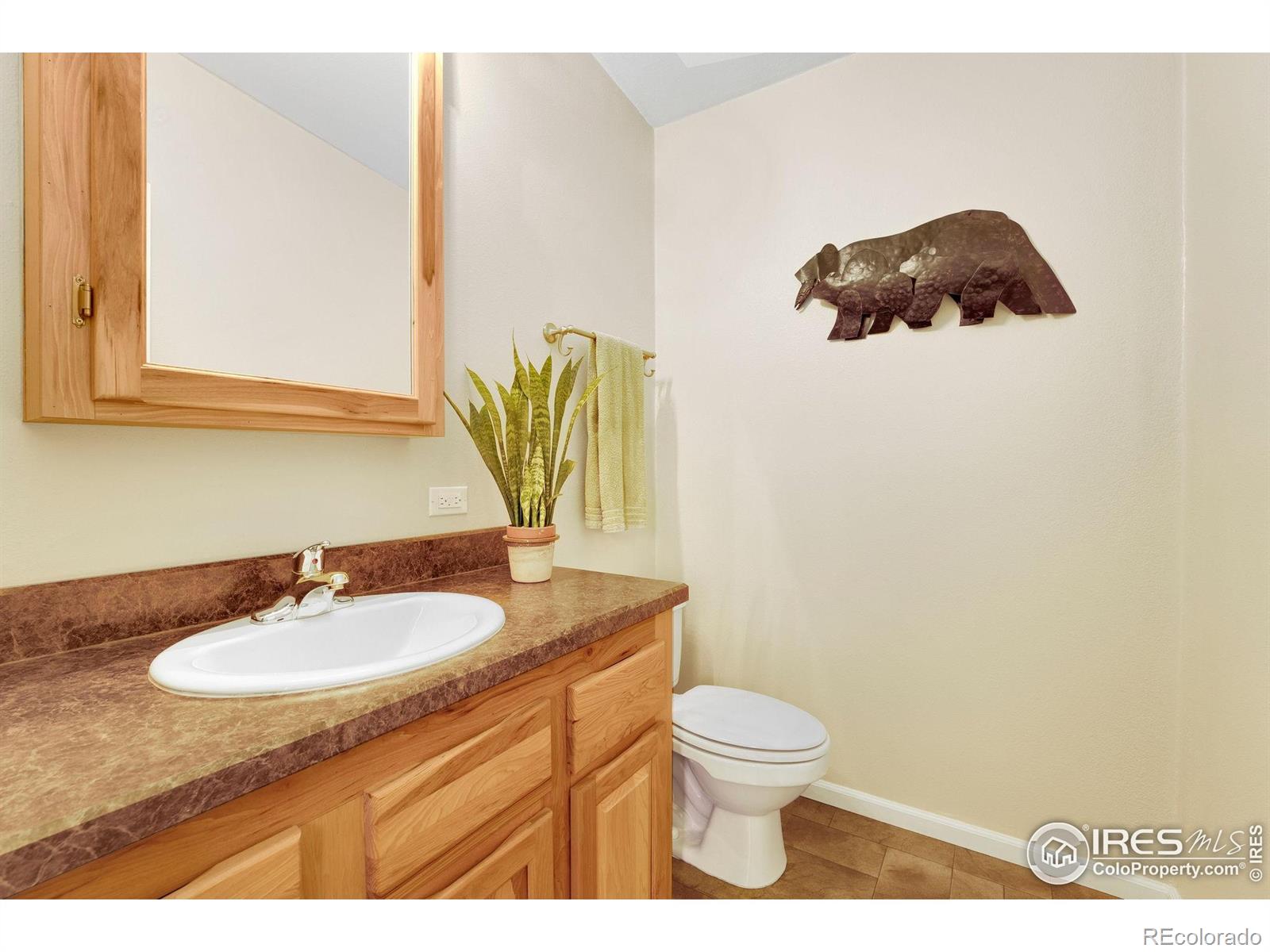 MLS Image #10 for 572  horse mountain drive,livermore, Colorado