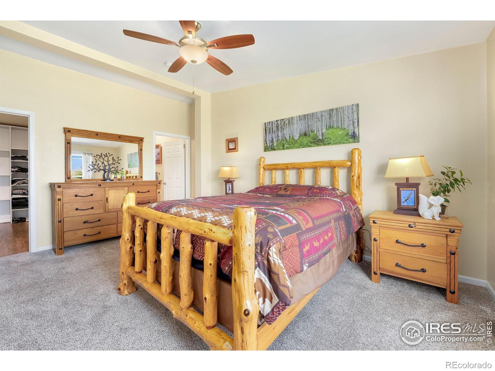 MLS Image #17 for 572  horse mountain drive,livermore, Colorado