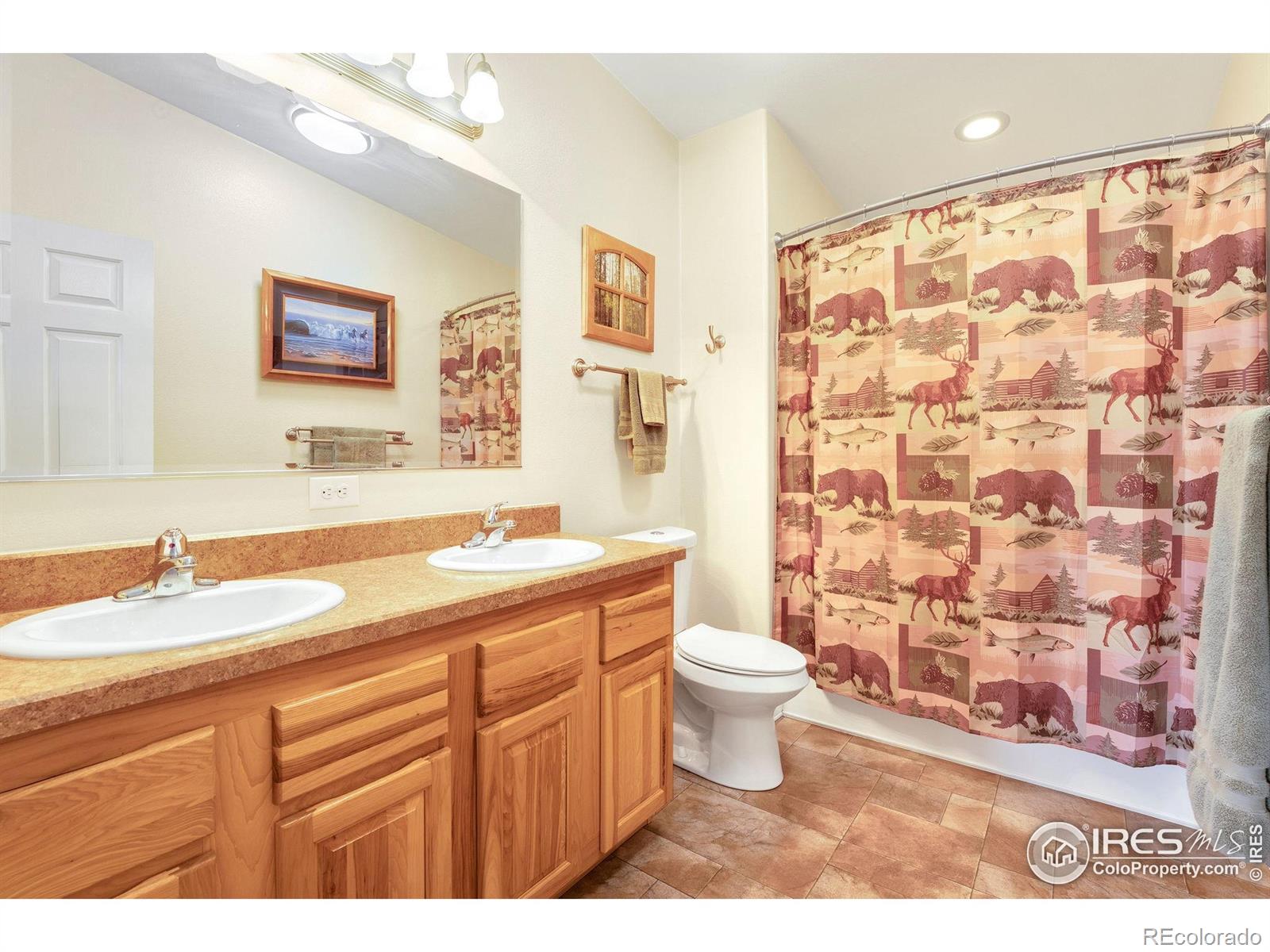 MLS Image #19 for 572  horse mountain drive,livermore, Colorado