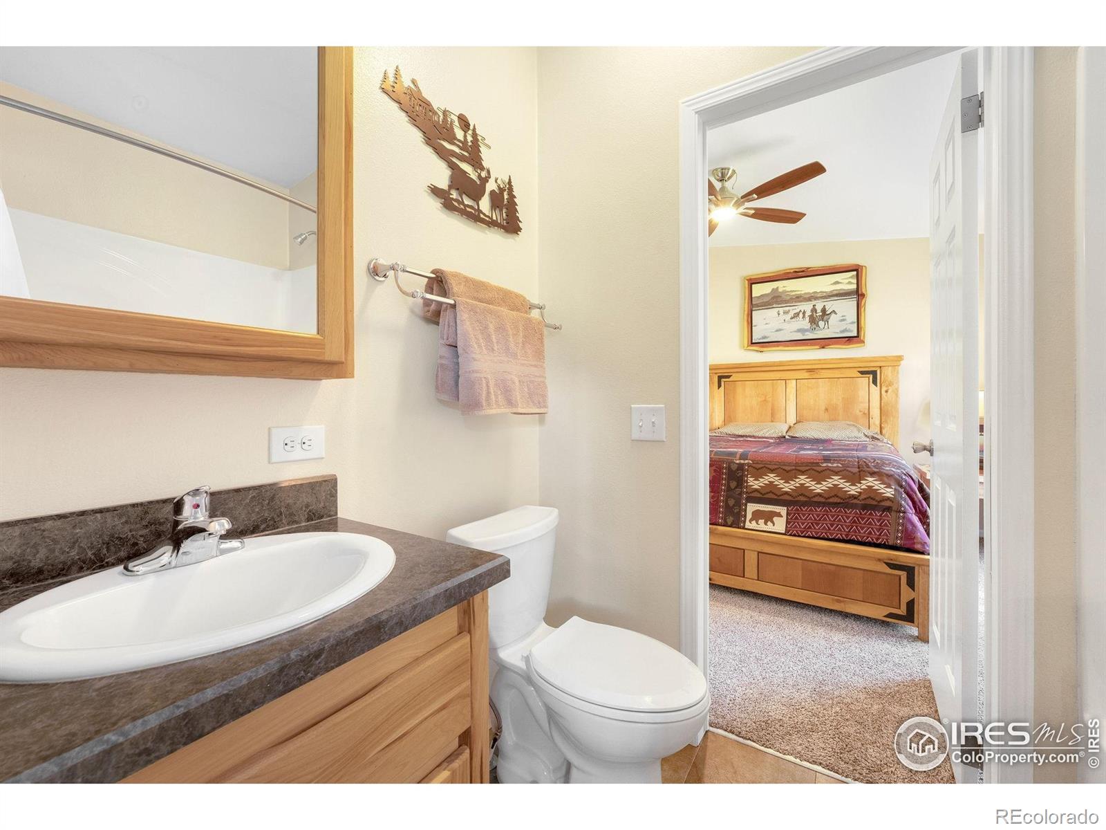 MLS Image #21 for 572  horse mountain drive,livermore, Colorado