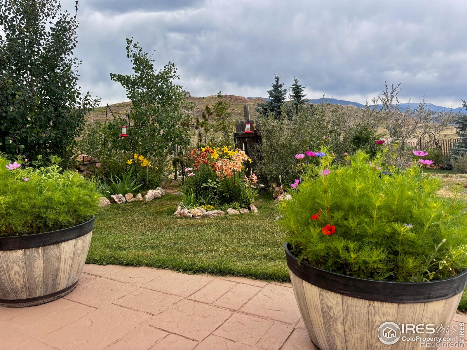 MLS Image #29 for 572  horse mountain drive,livermore, Colorado
