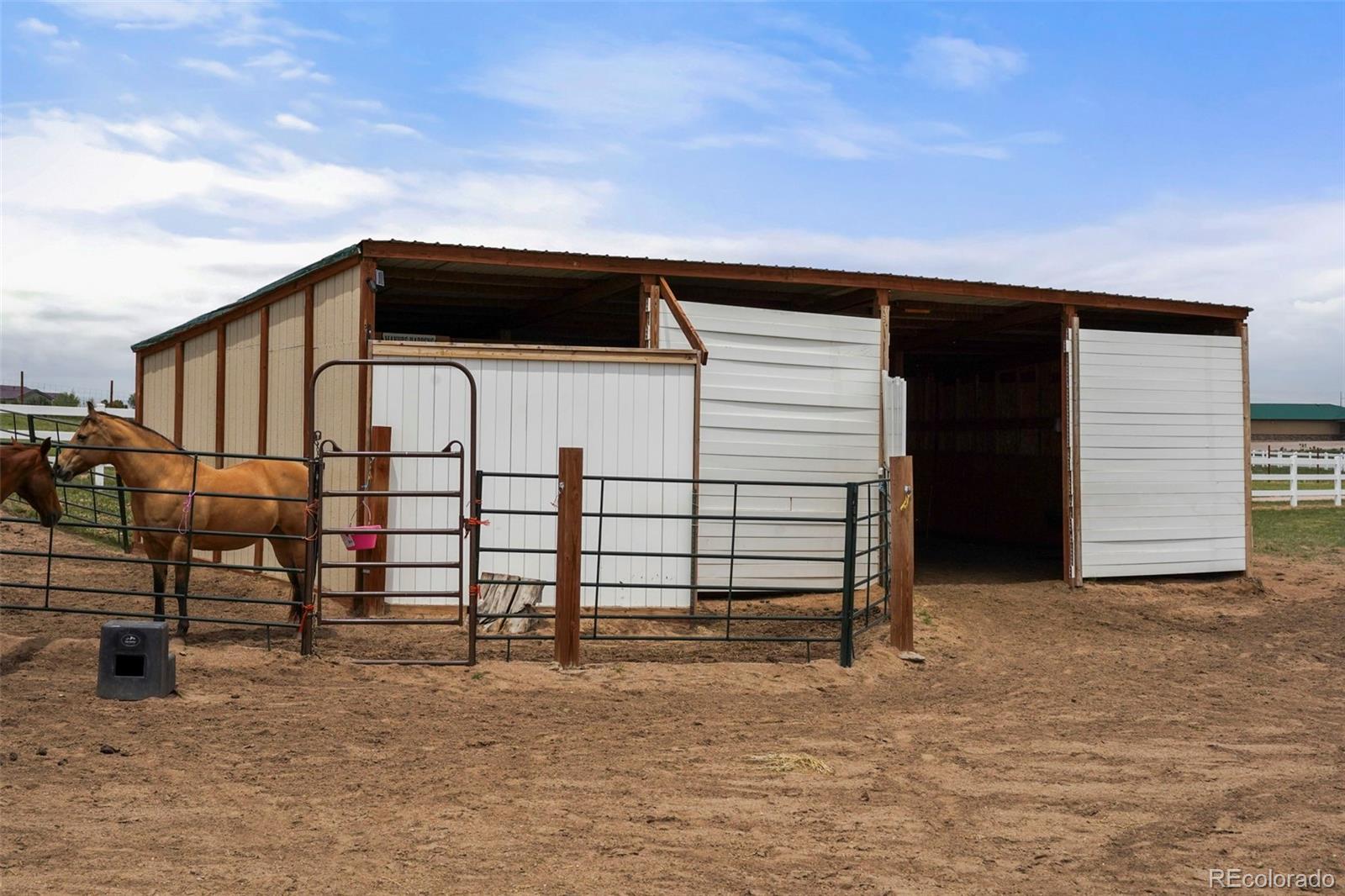 MLS Image #31 for 4360  los ranchitos ,peyton, Colorado