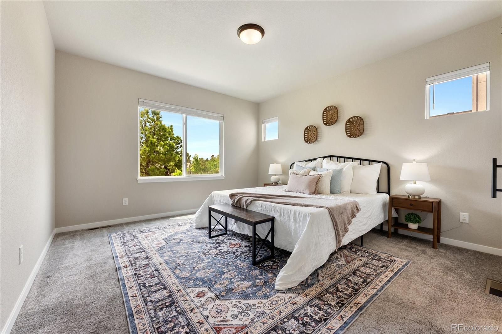 MLS Image #10 for 1849  clayhouse drive,colorado springs, Colorado