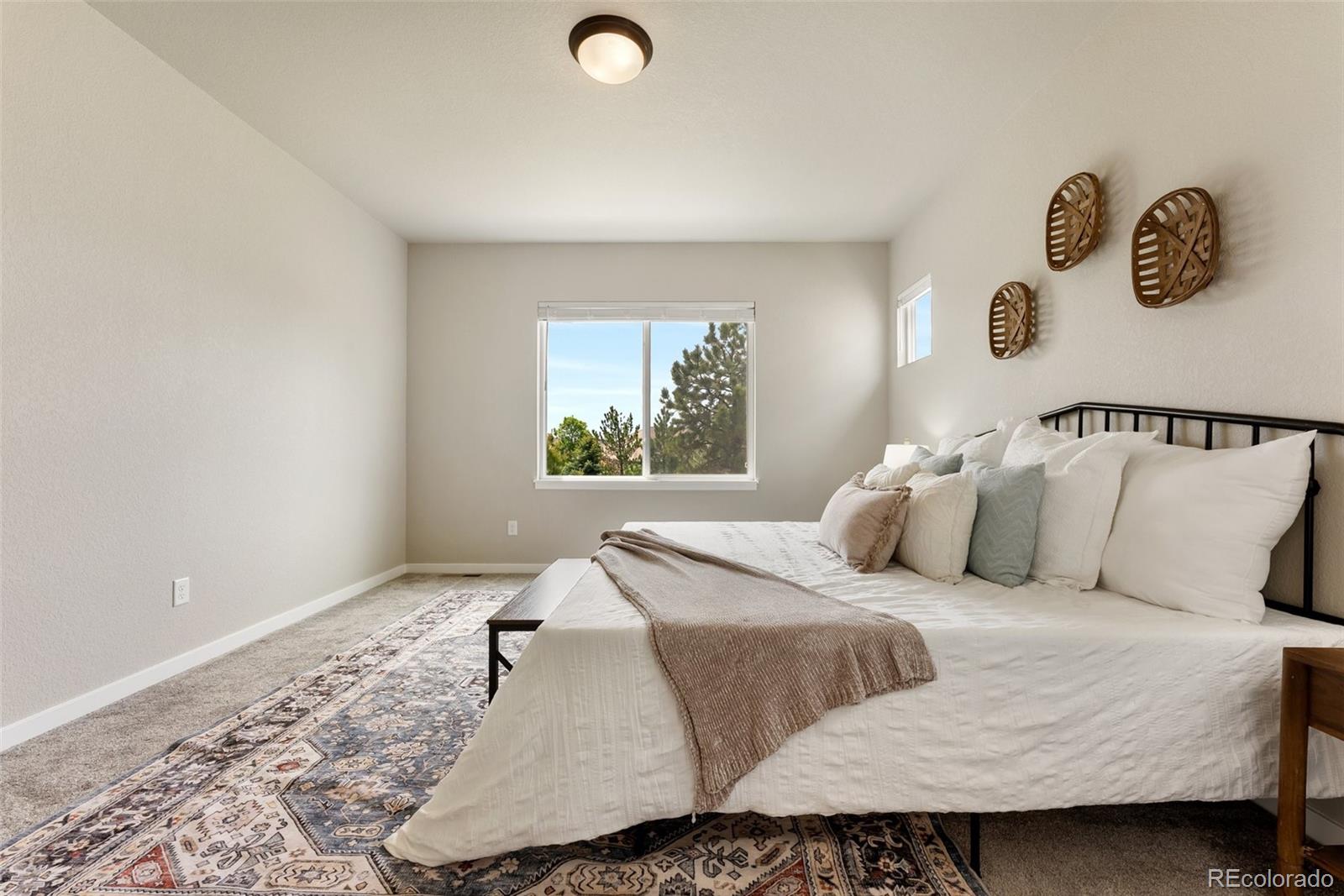 MLS Image #12 for 1849  clayhouse drive,colorado springs, Colorado