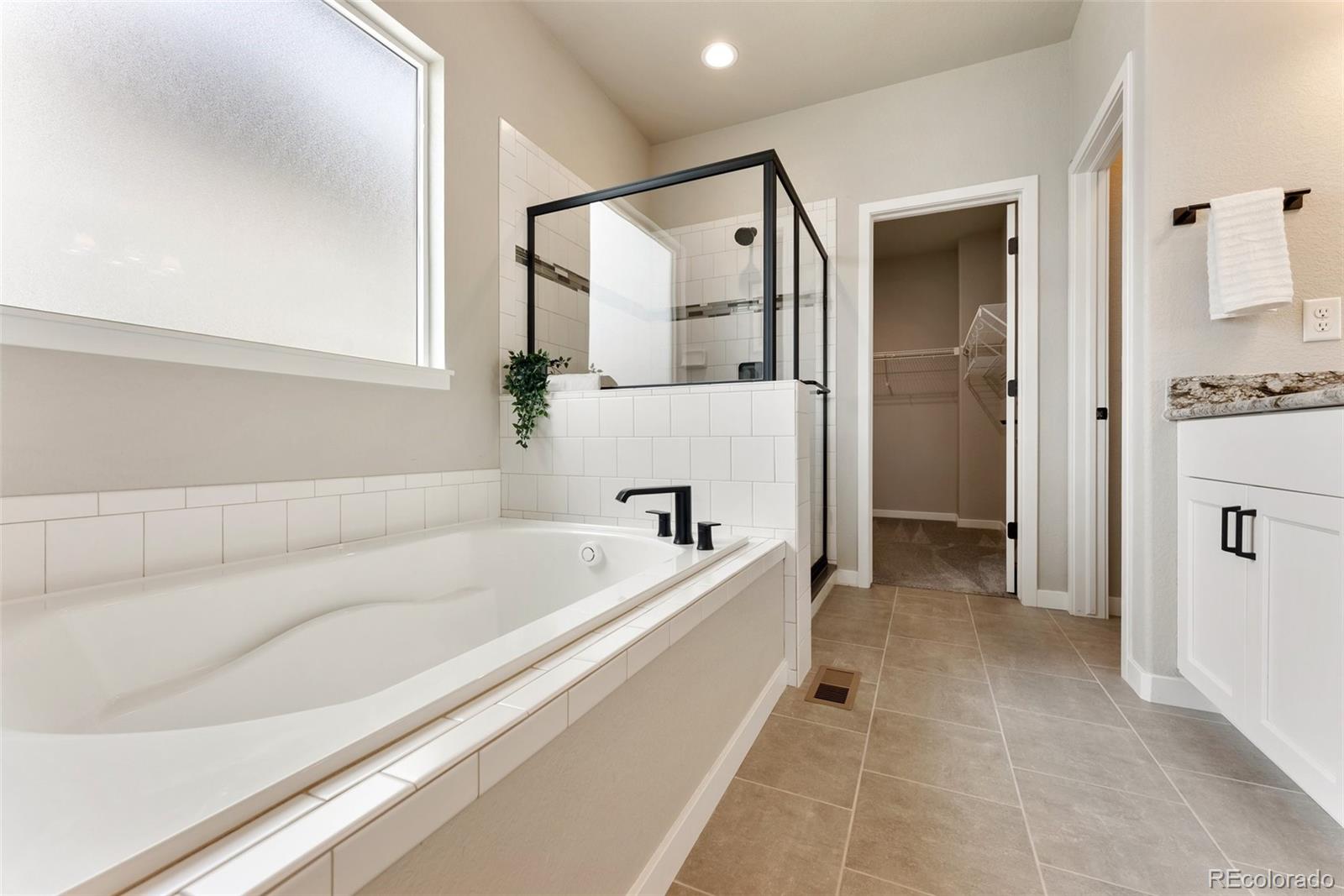 MLS Image #15 for 1849  clayhouse drive,colorado springs, Colorado